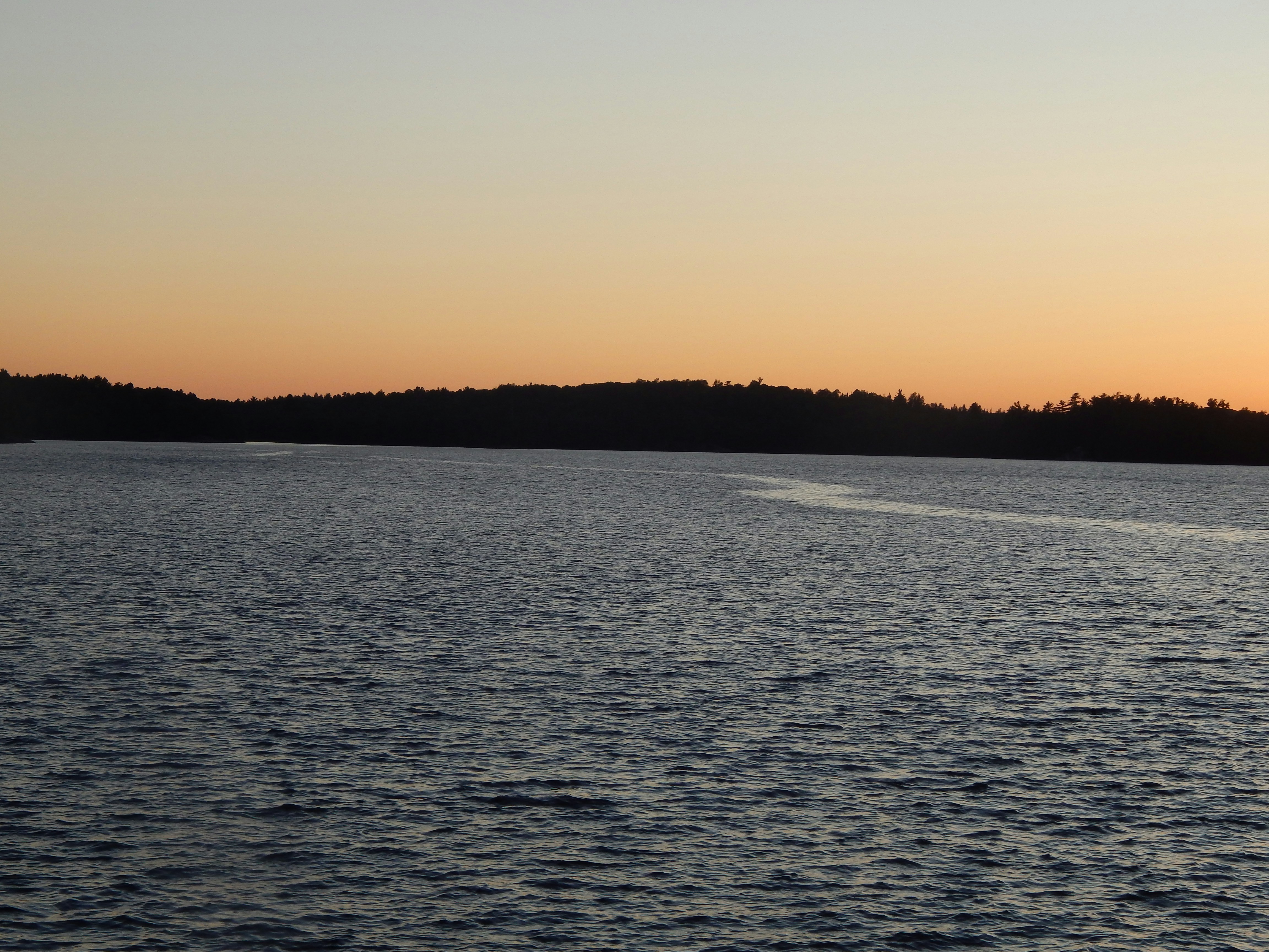 Photo by scarlettweiss