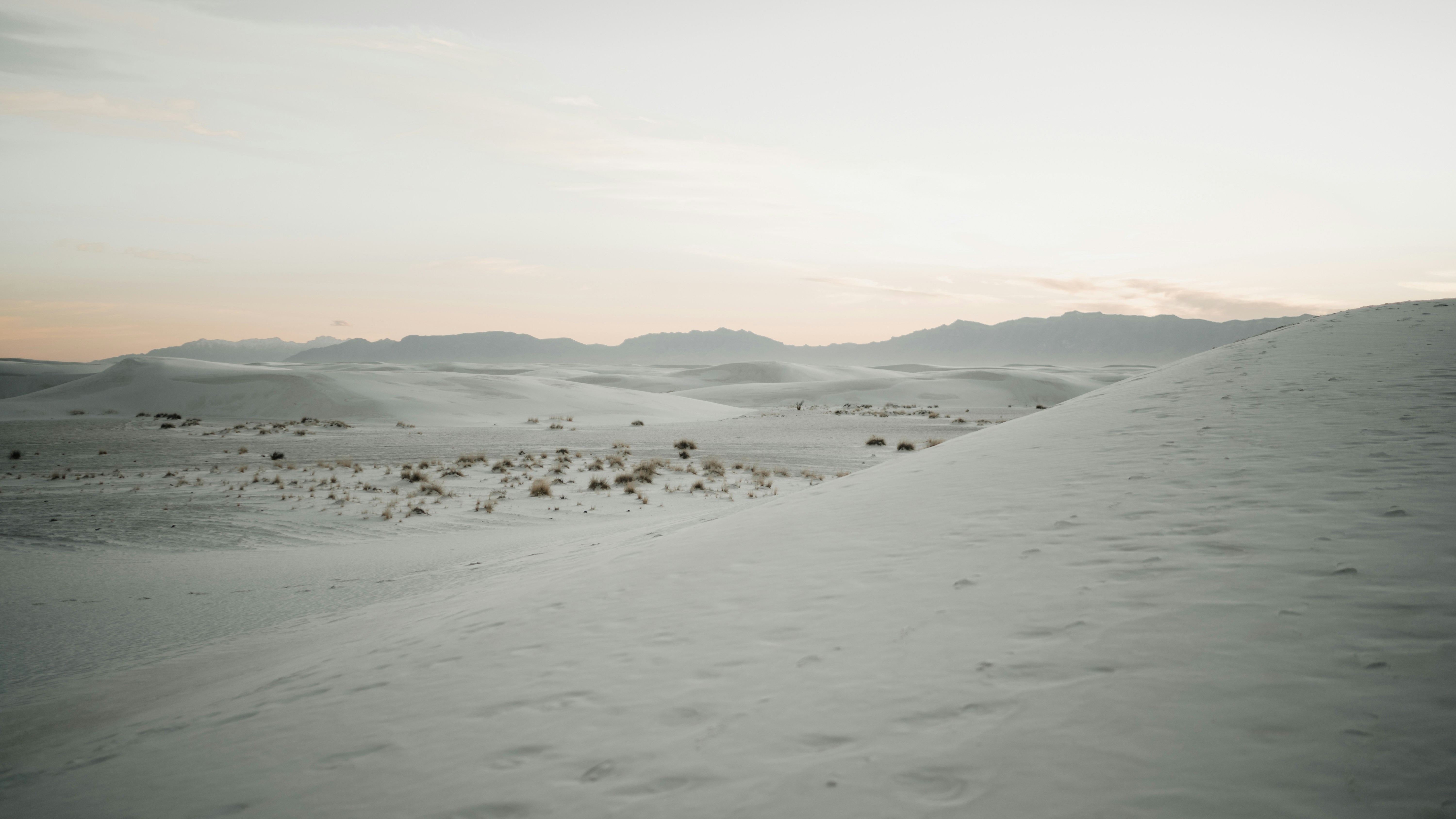 Photo by davidjessephoto