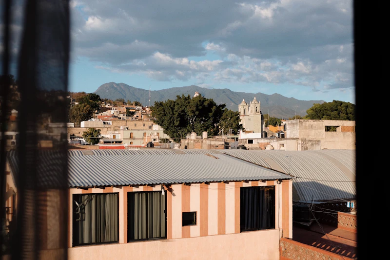 Best Budget Hostels in Mexico City That Are Actually Worth Staying In