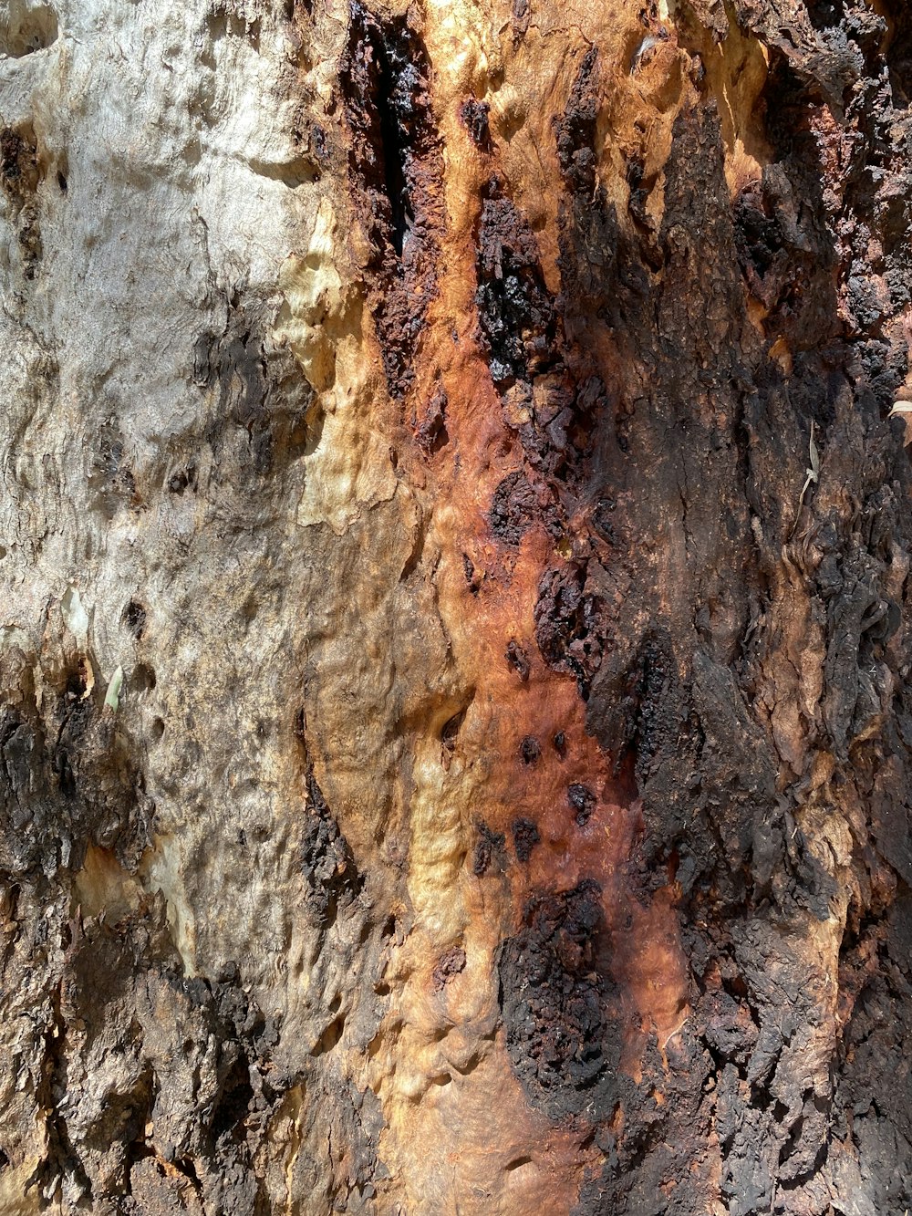 a close up of a tree trunk with brown and yellow paint