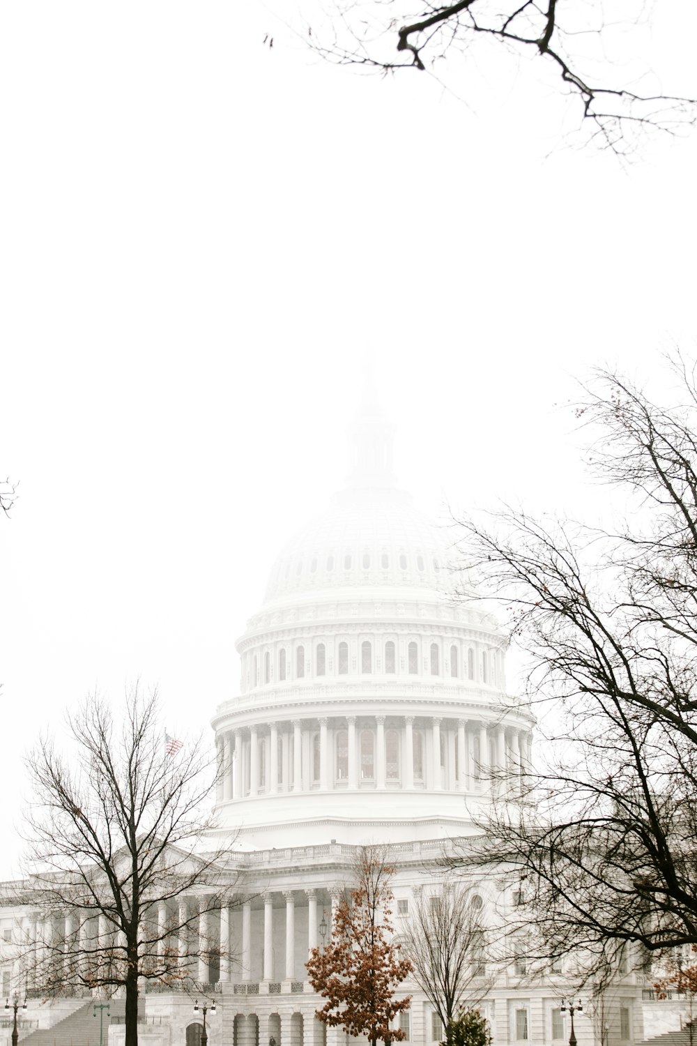 El edificio Capital en Washington DC en un día de niebla