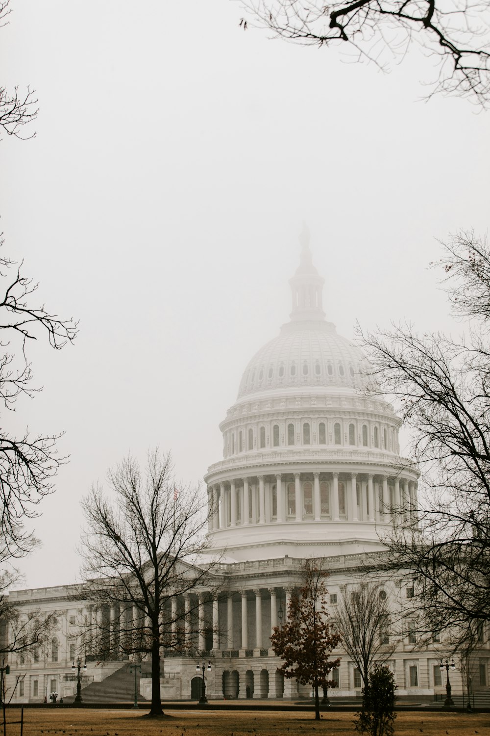 El edificio de la capital en Washington DC en un día de niebla