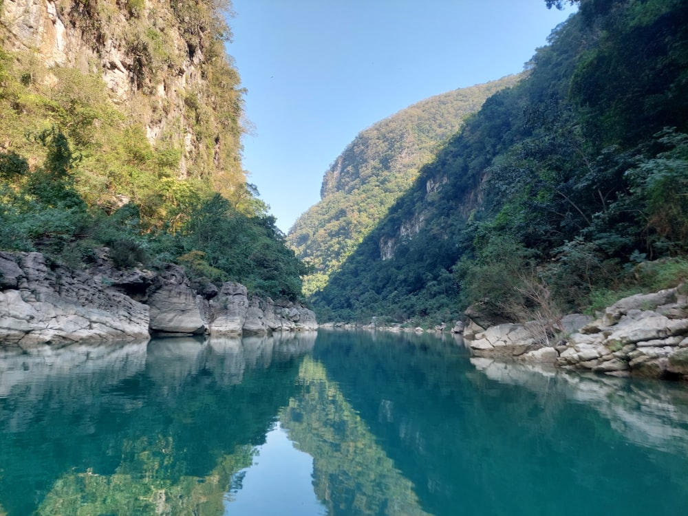 a body of water surrounded by mountains and trees