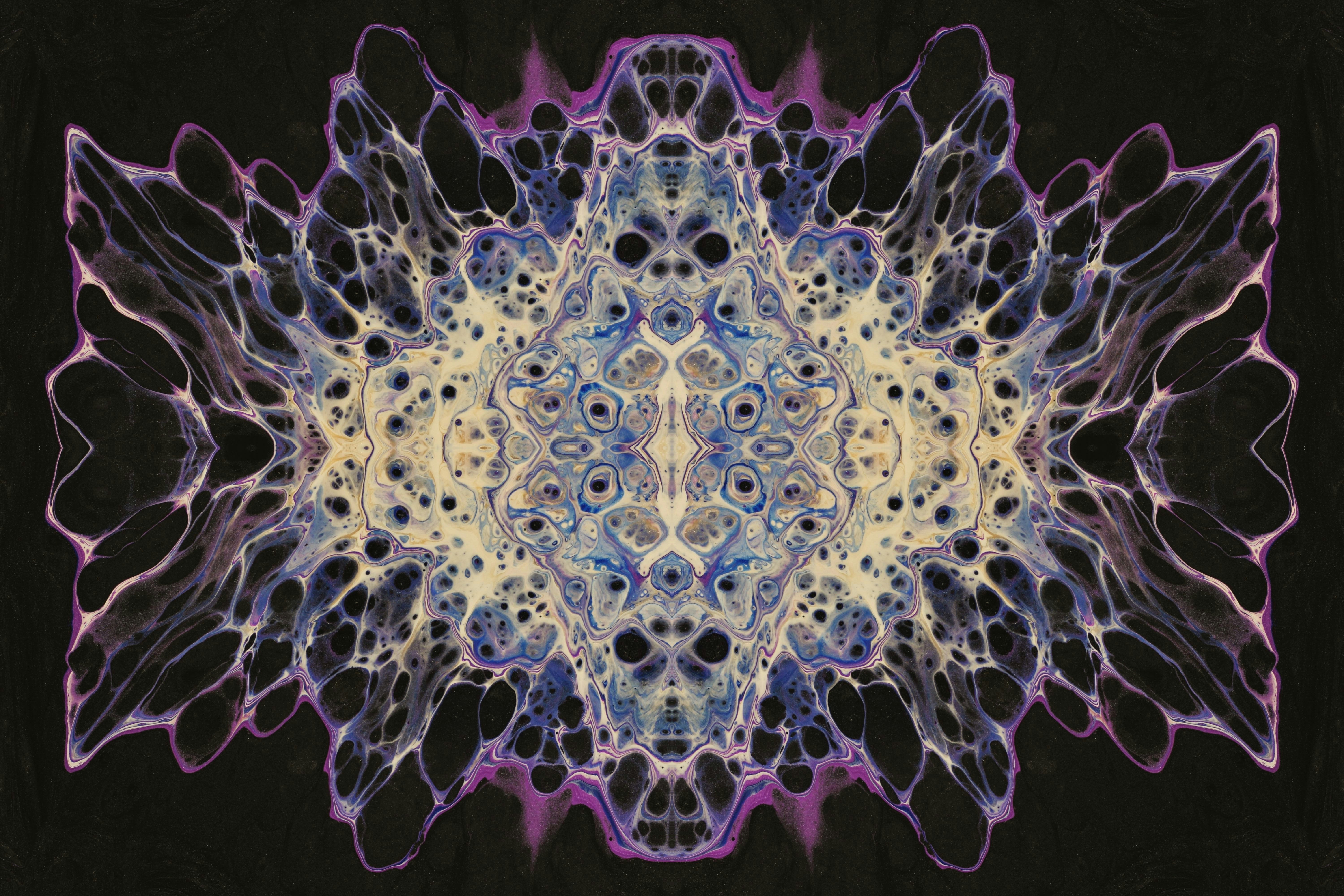 Photo by susan_wilkinson