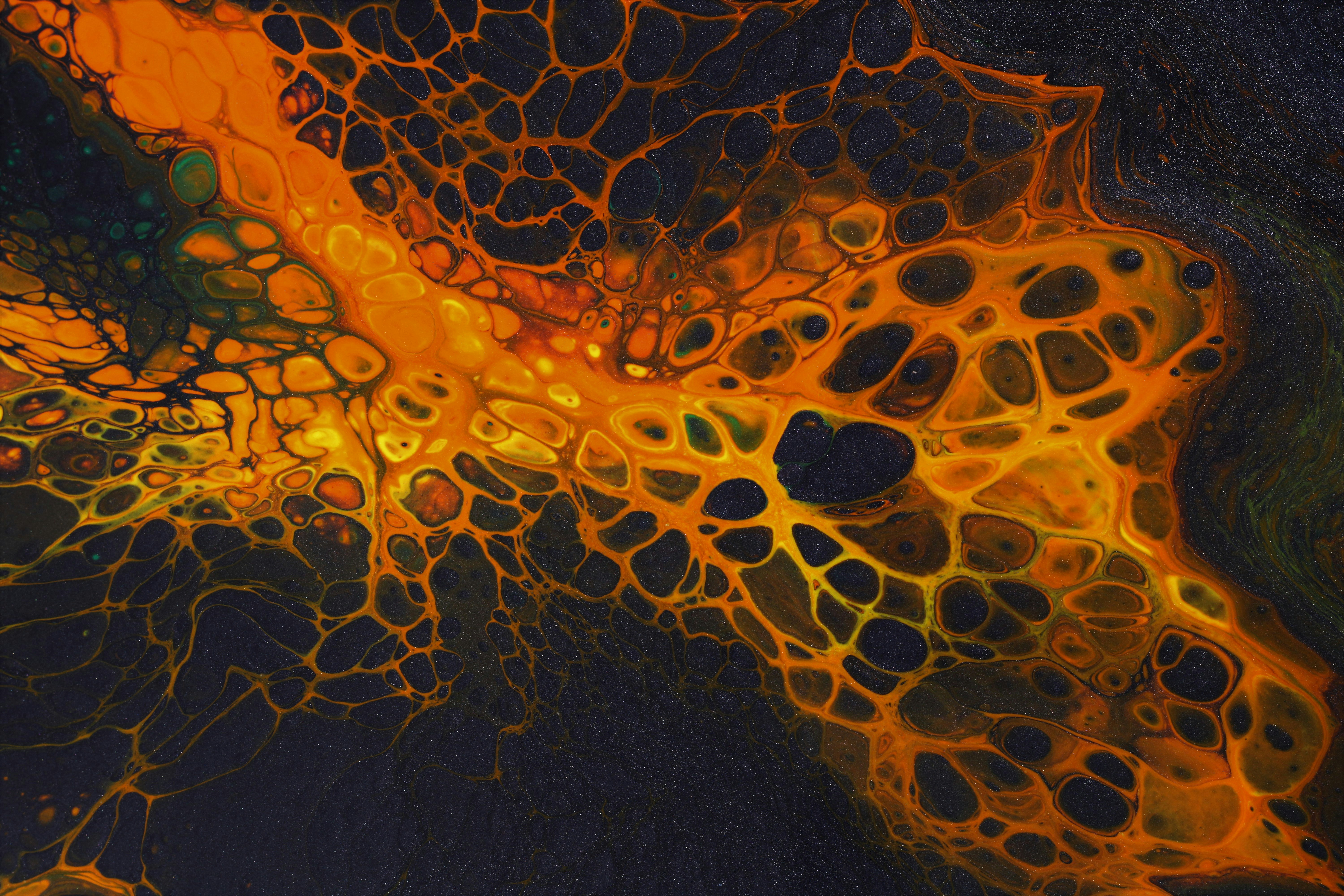 지방세포 크기 줄일 수 있을까?