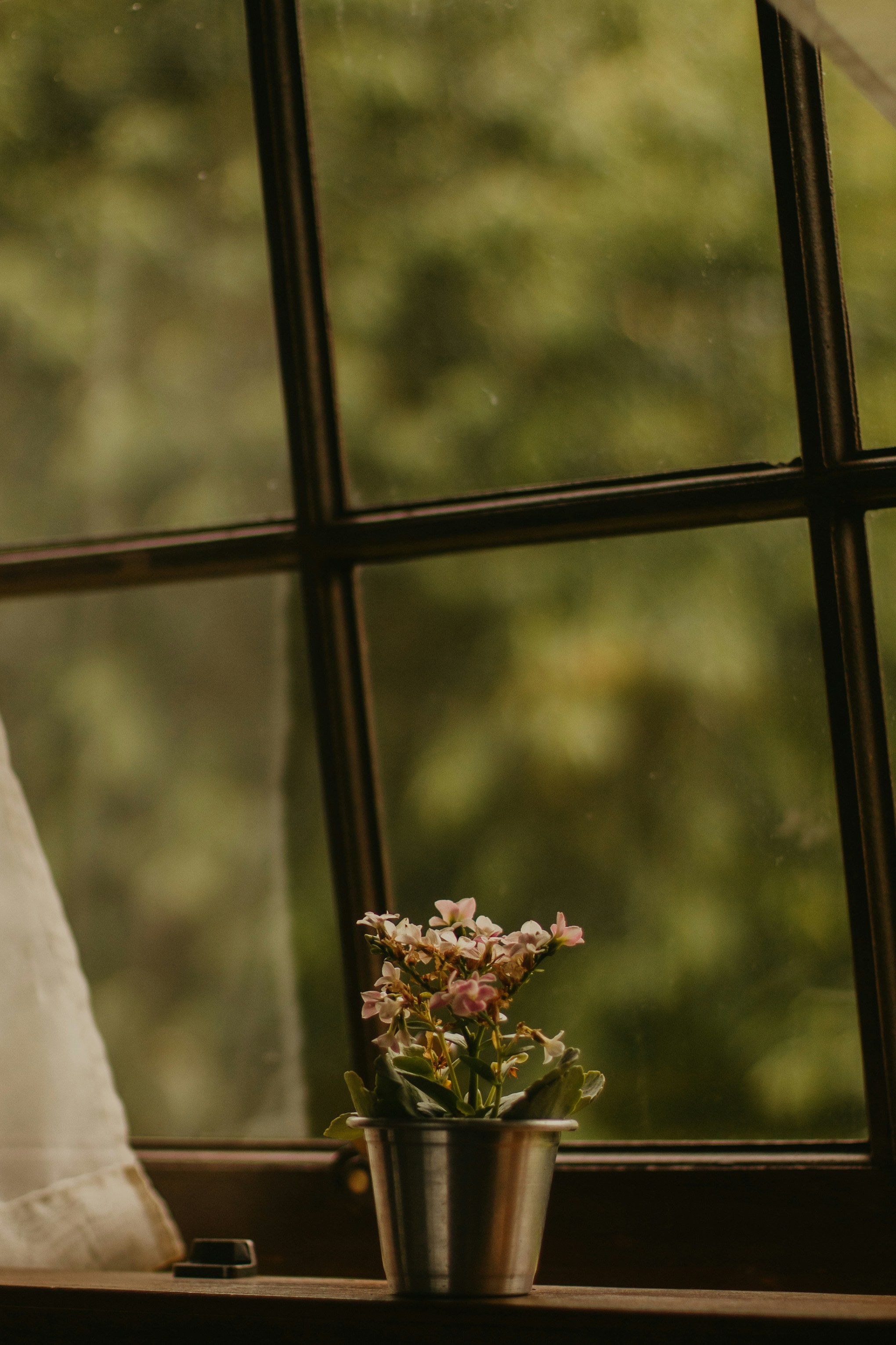 Photo by nicolequeiroz