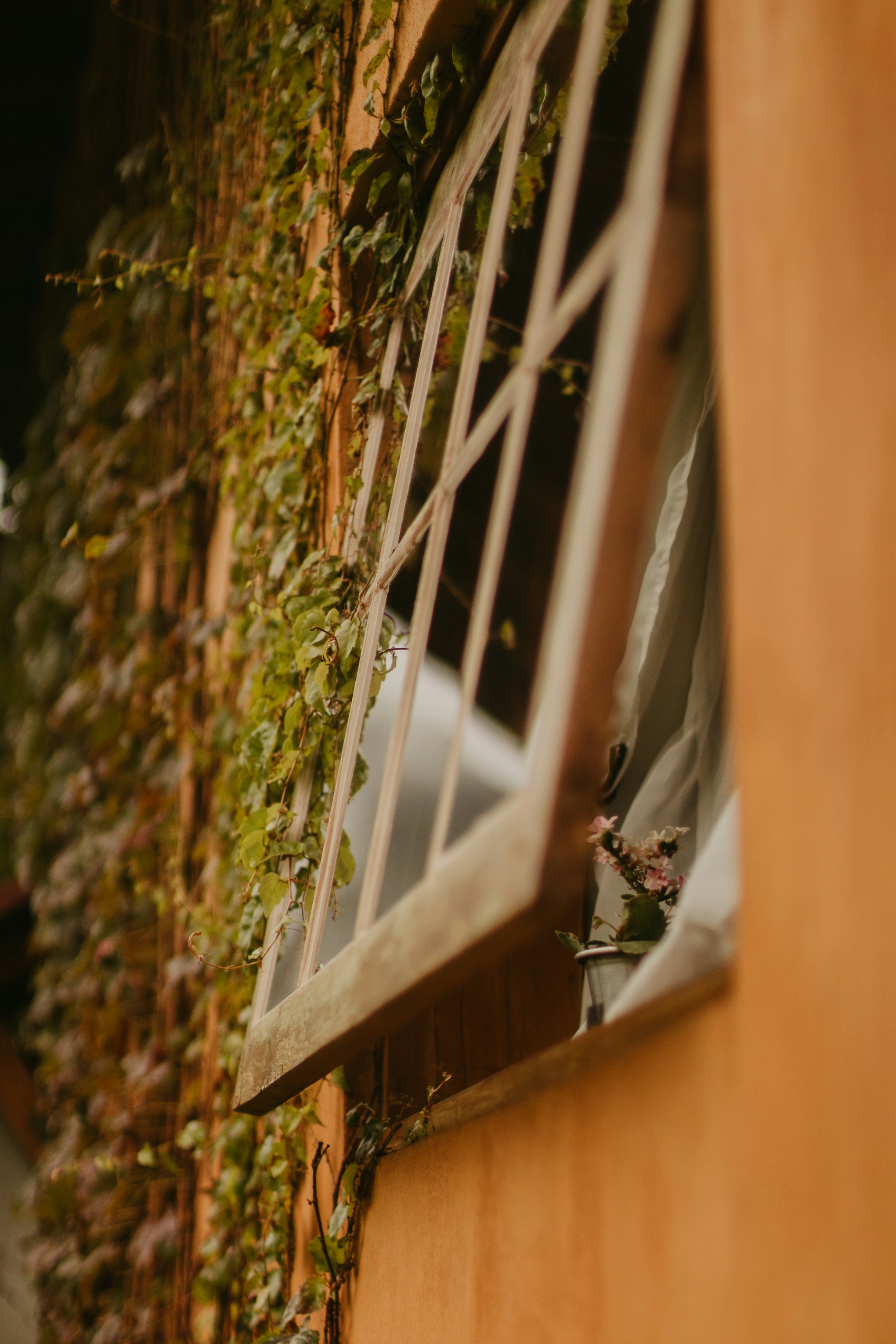 Photo by nicolequeiroz