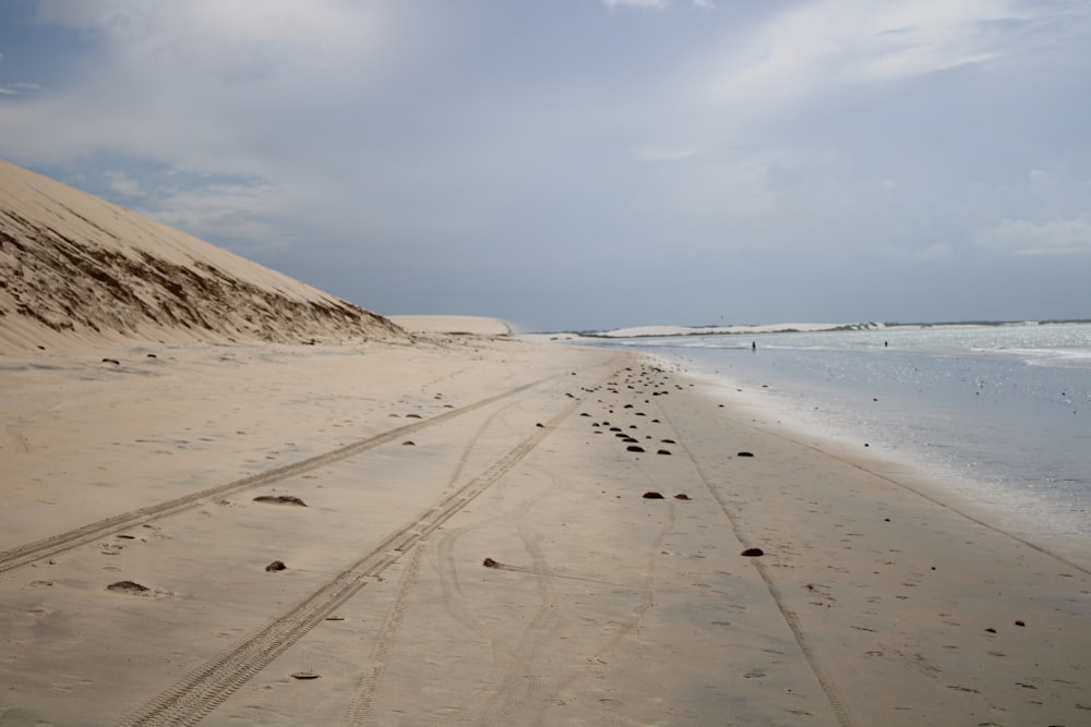 a sandy beach with tracks in the sand