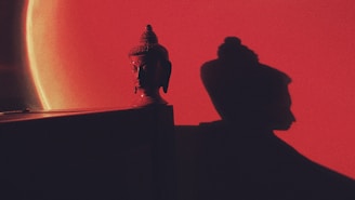 Vairagya Yogashala