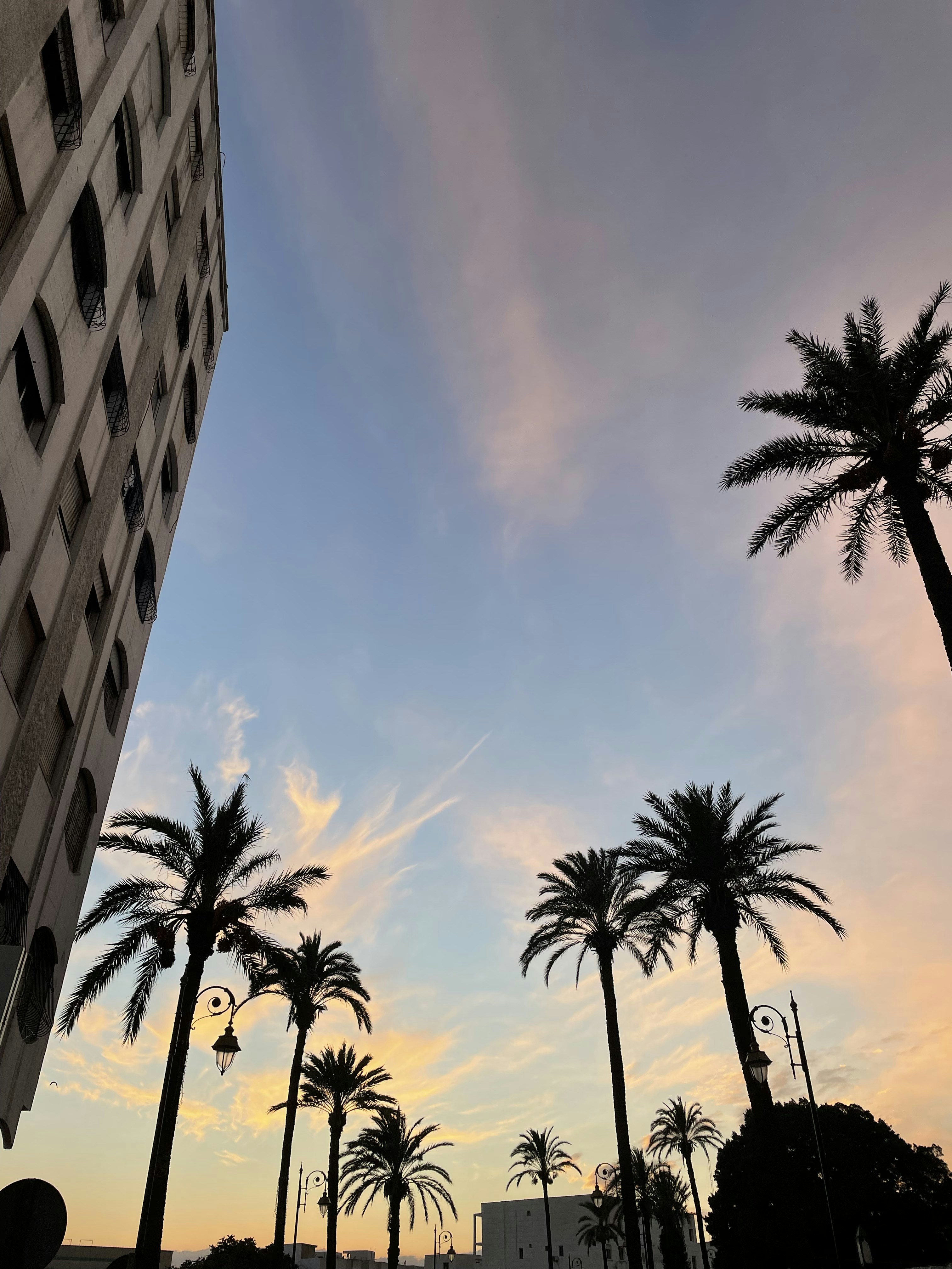 Dounya El Harrar (@eldounya) | Komunitas Foto Unsplash