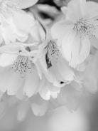 Close-up of a delicate watercolor painting featuring gentle floral details in soft greys and blacks