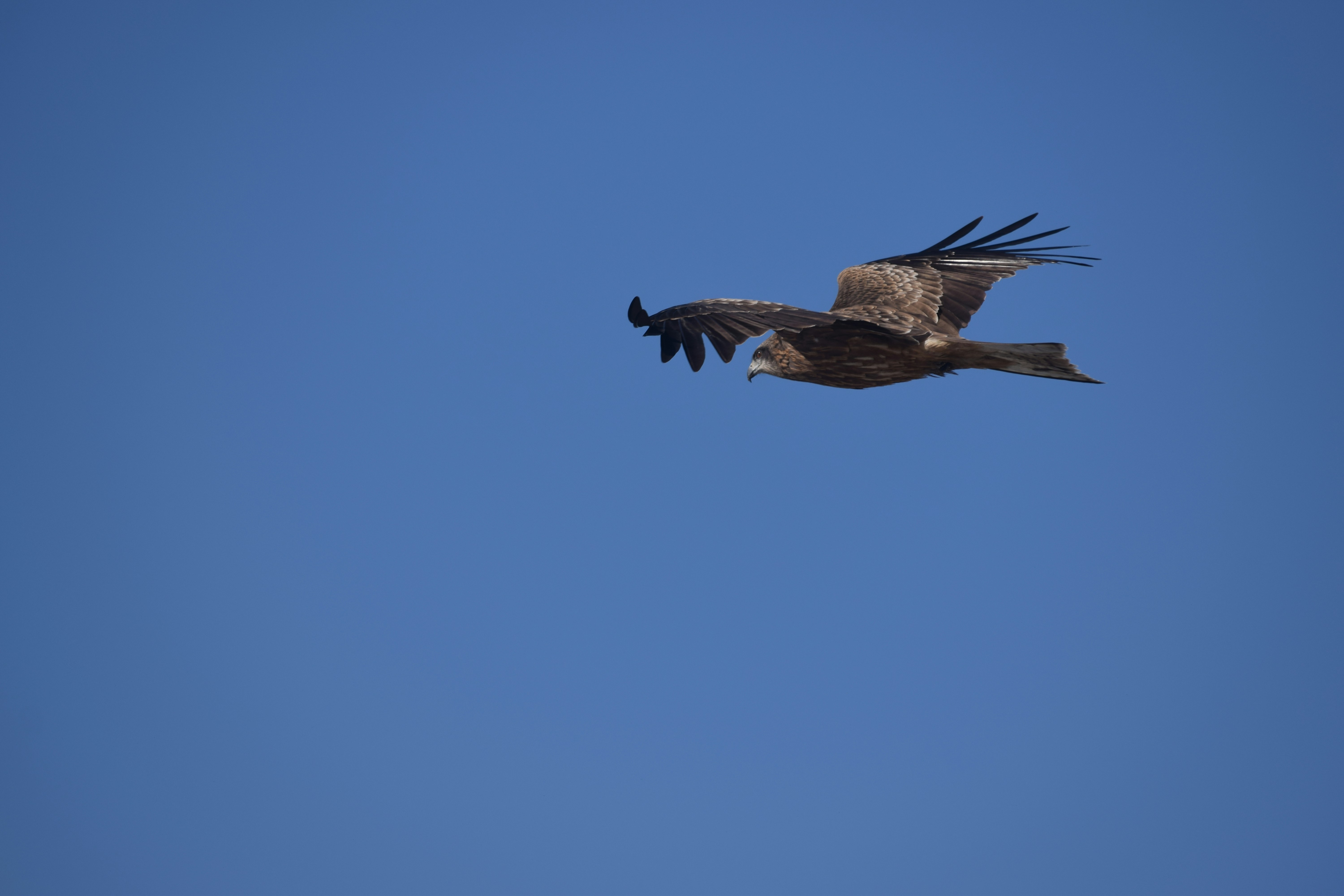 Photo by takeshi_mas