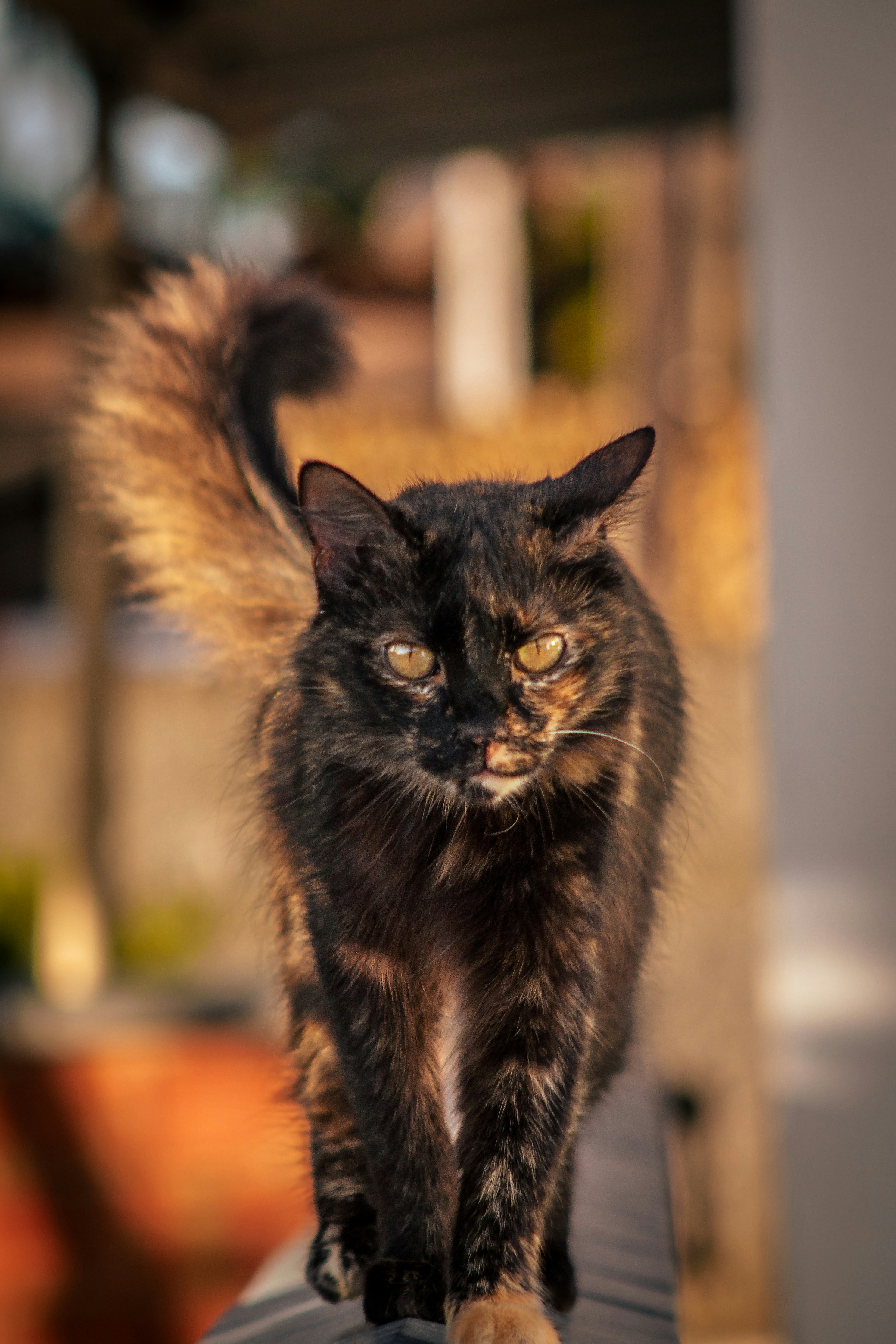 Photo by gabriel_merim