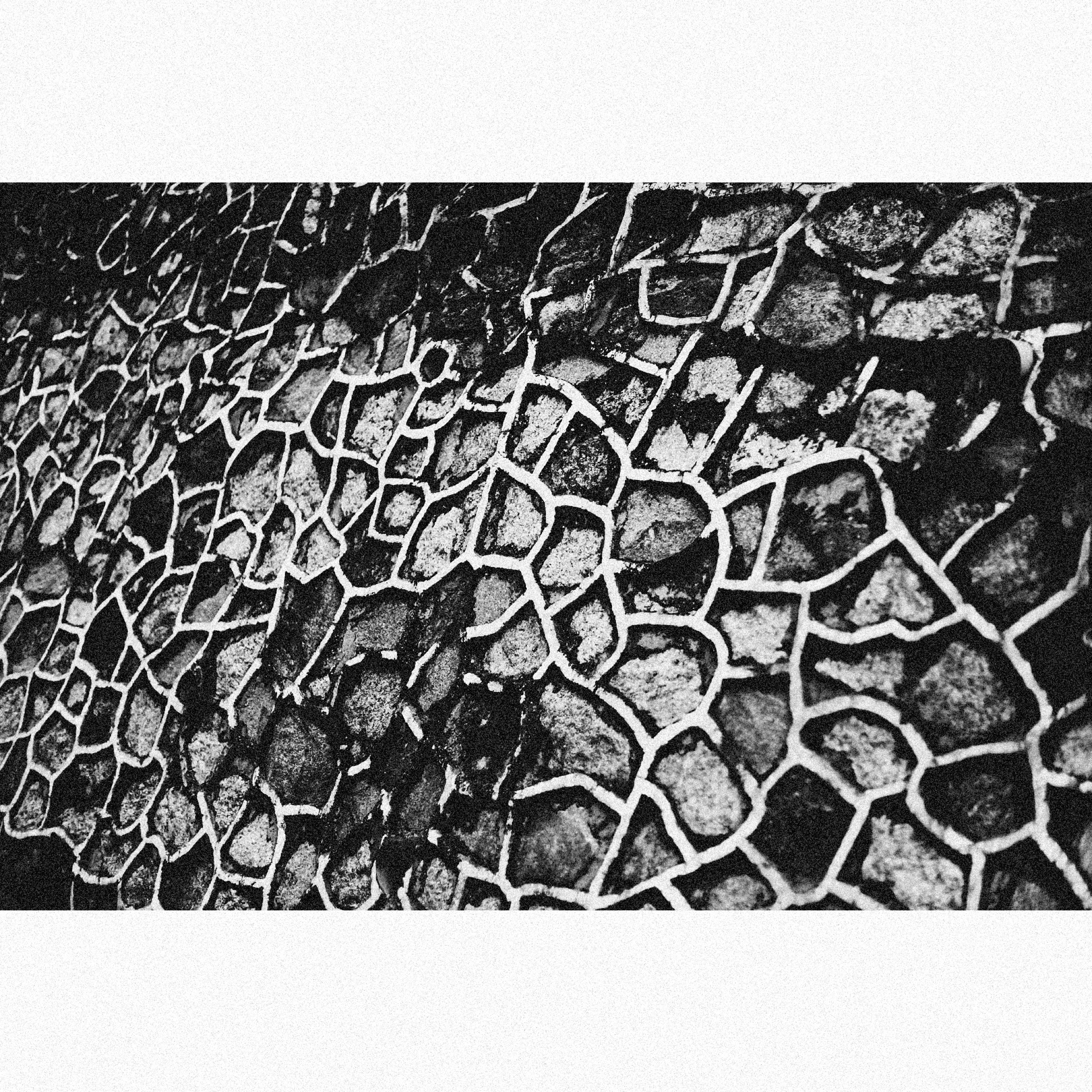 Photo by alexeydemidov