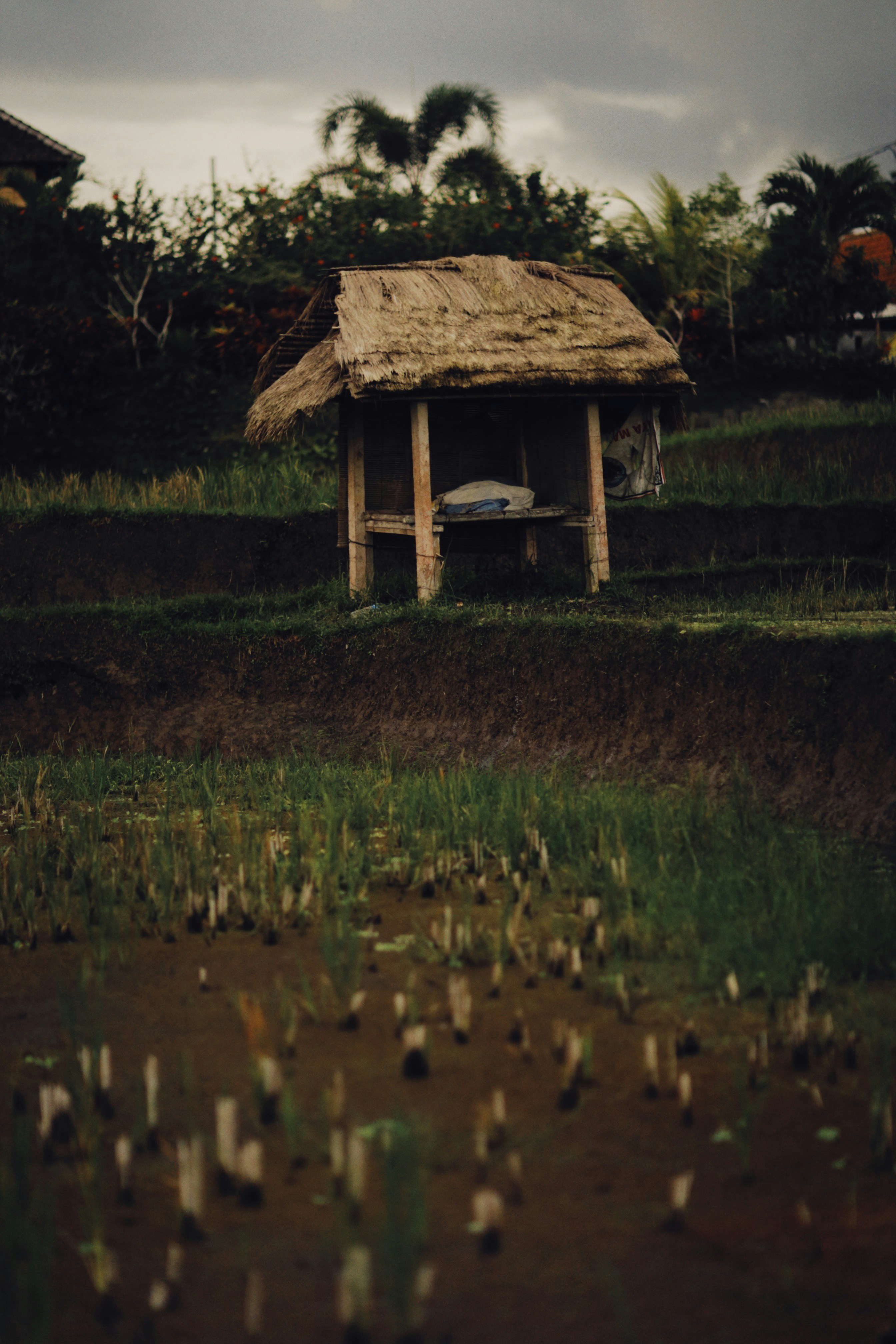 Photo by alexeydemidov