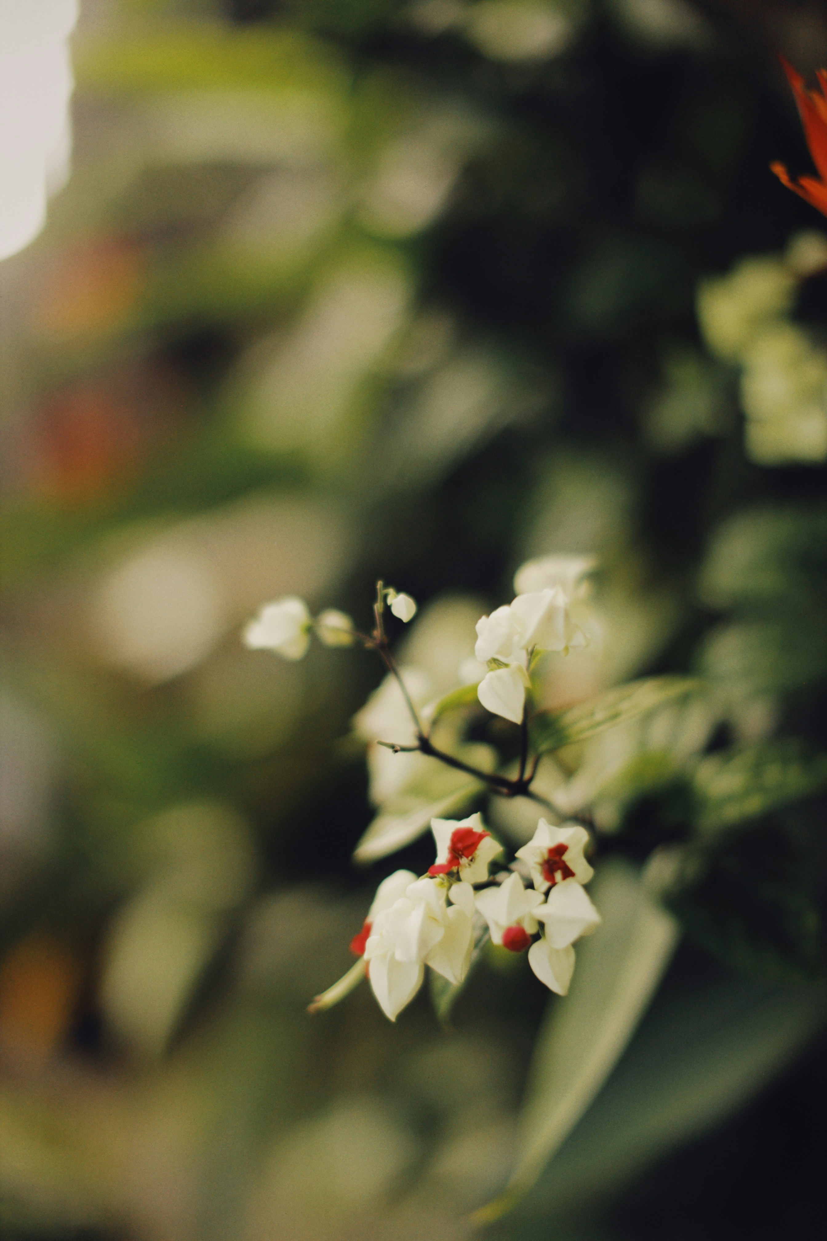 Photo by alexeydemidov