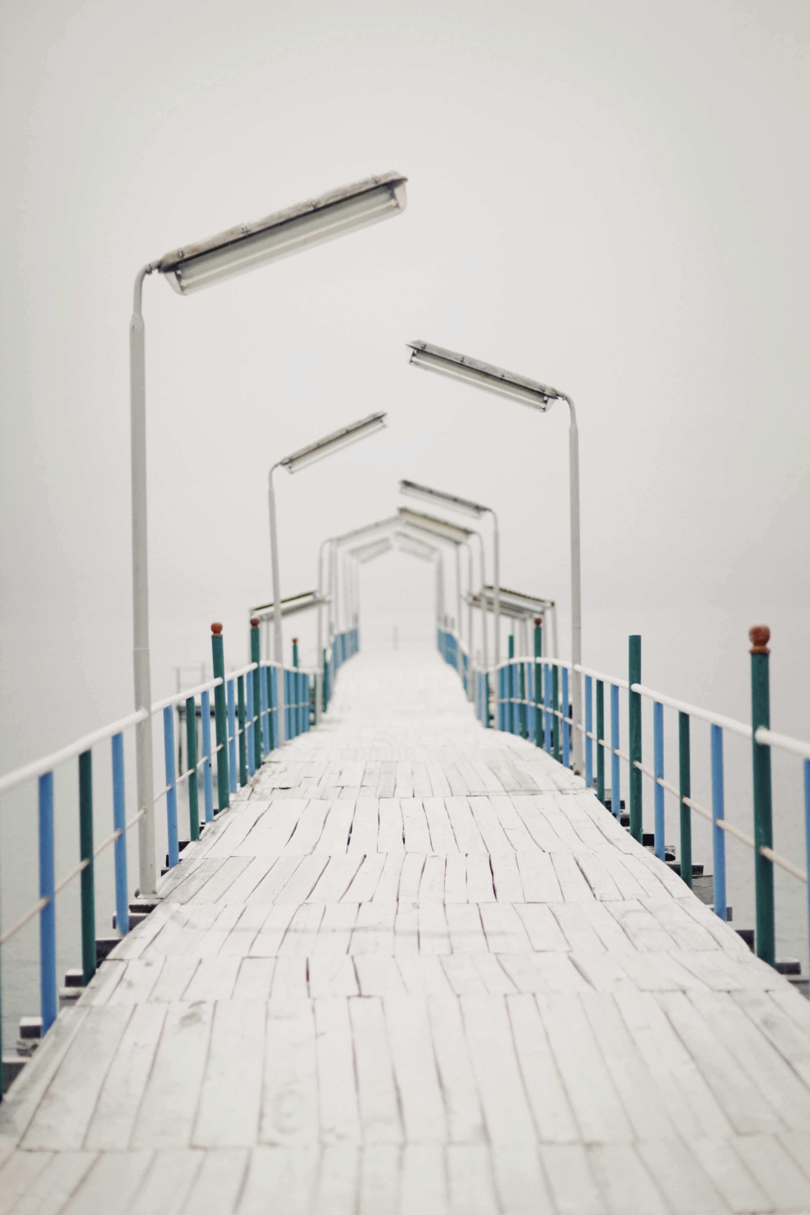 Photo by alexeydemidov