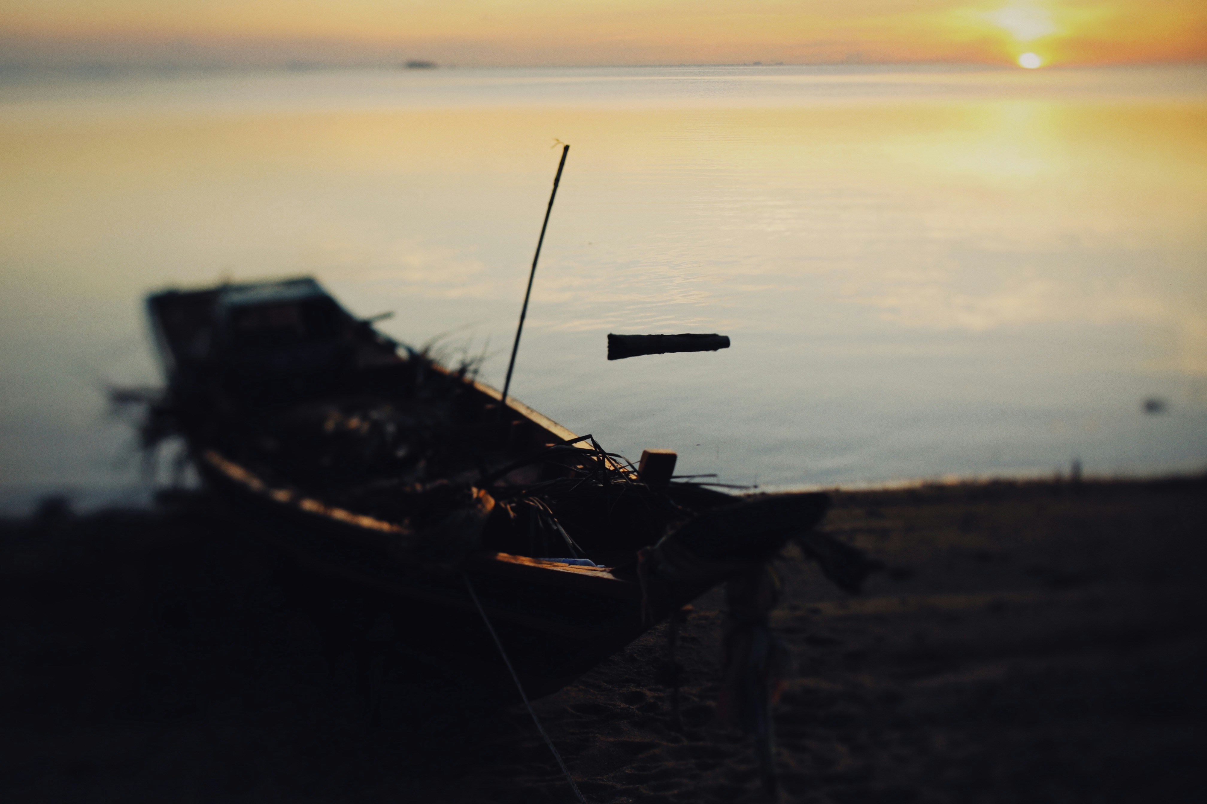 Photo by alexeydemidov