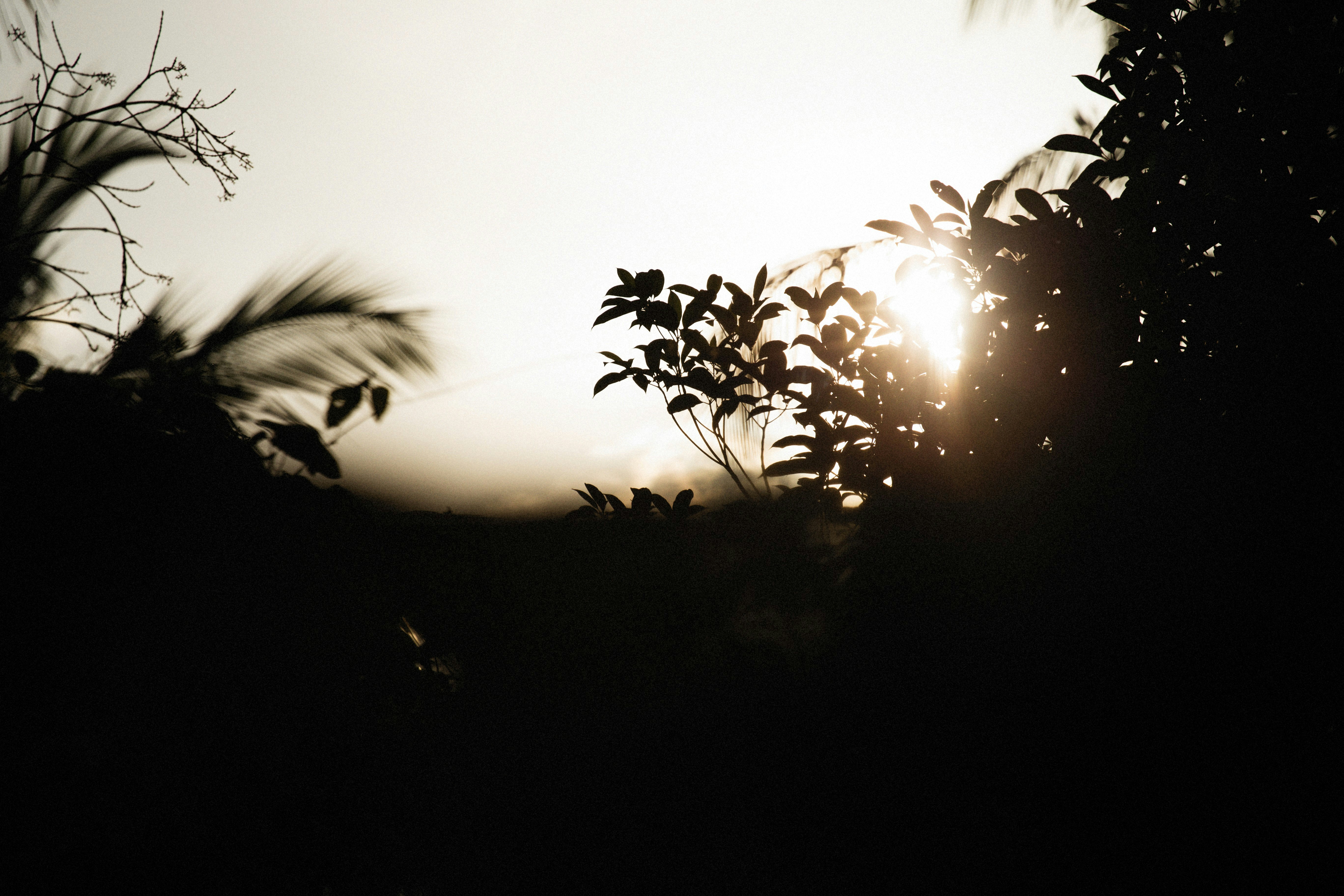 Photo by alexeydemidov