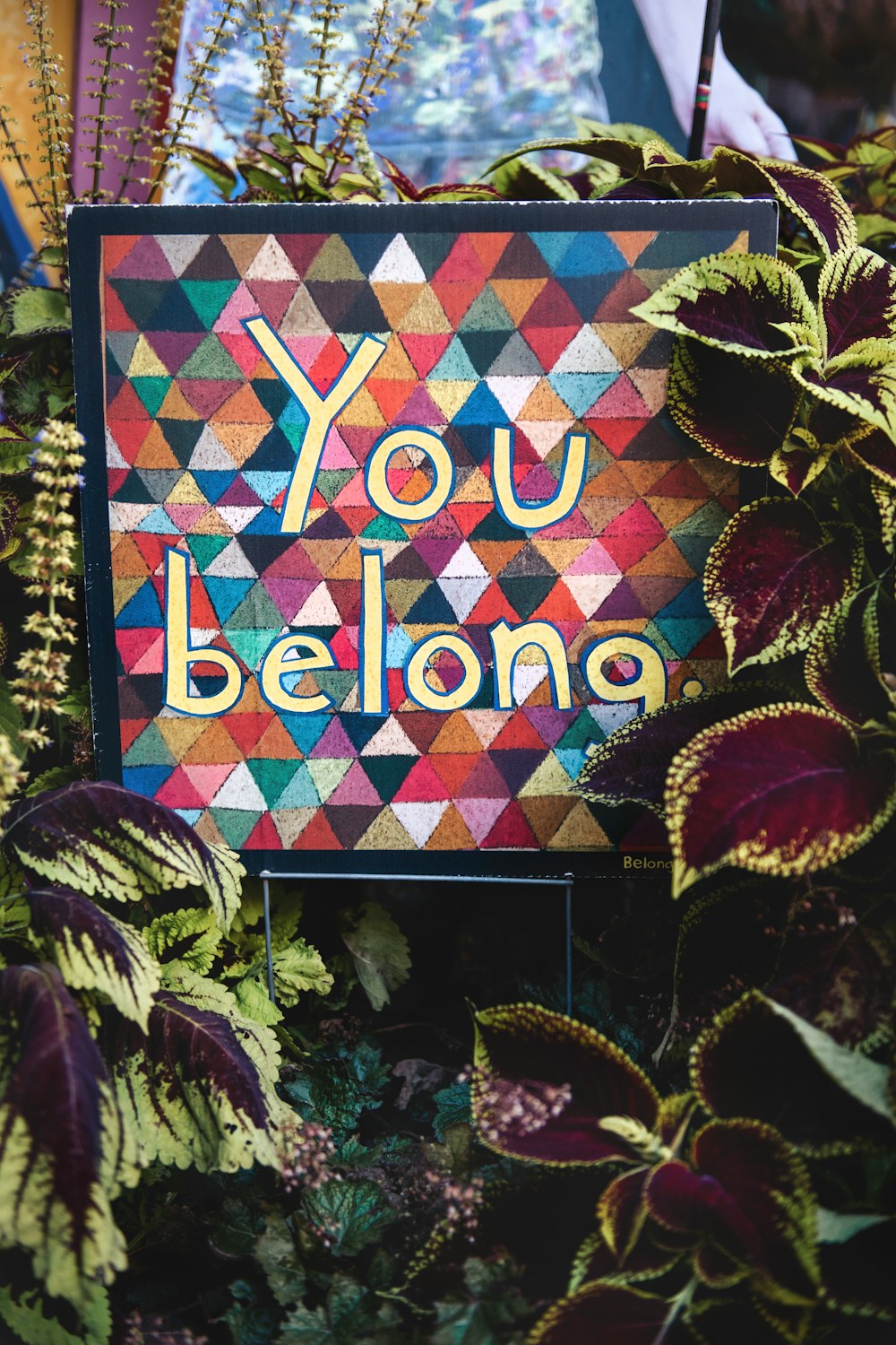 a sign that says you belong surrounded by plants