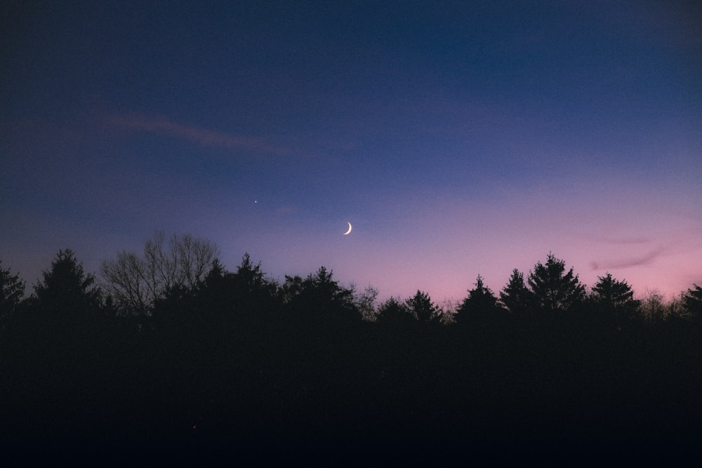 a purple sky with a half moon in the distance