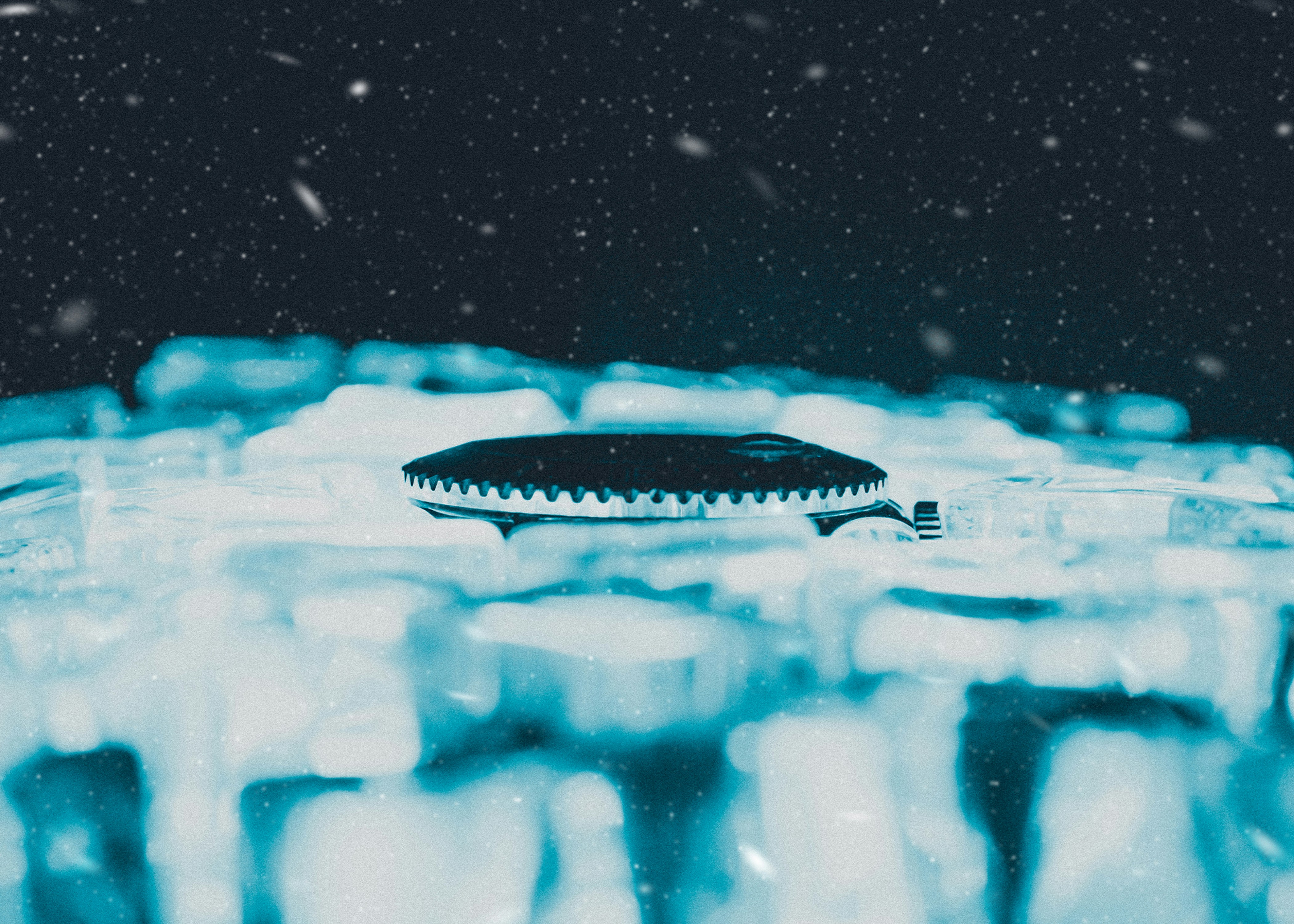a piece of food sitting on top of ice