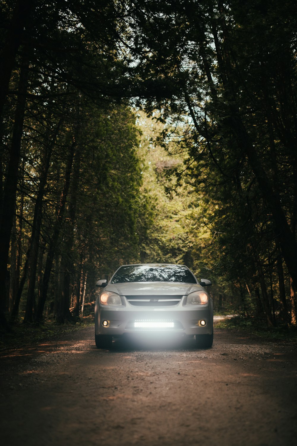 a car driving down a road surrounded by trees
