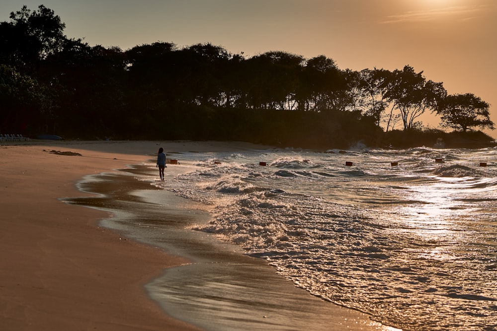 a group of people on a beach near a body of water