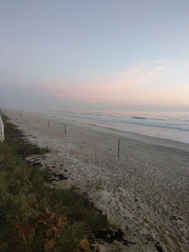 A quiet beach at dawn, empty and still with soft pastel skies.