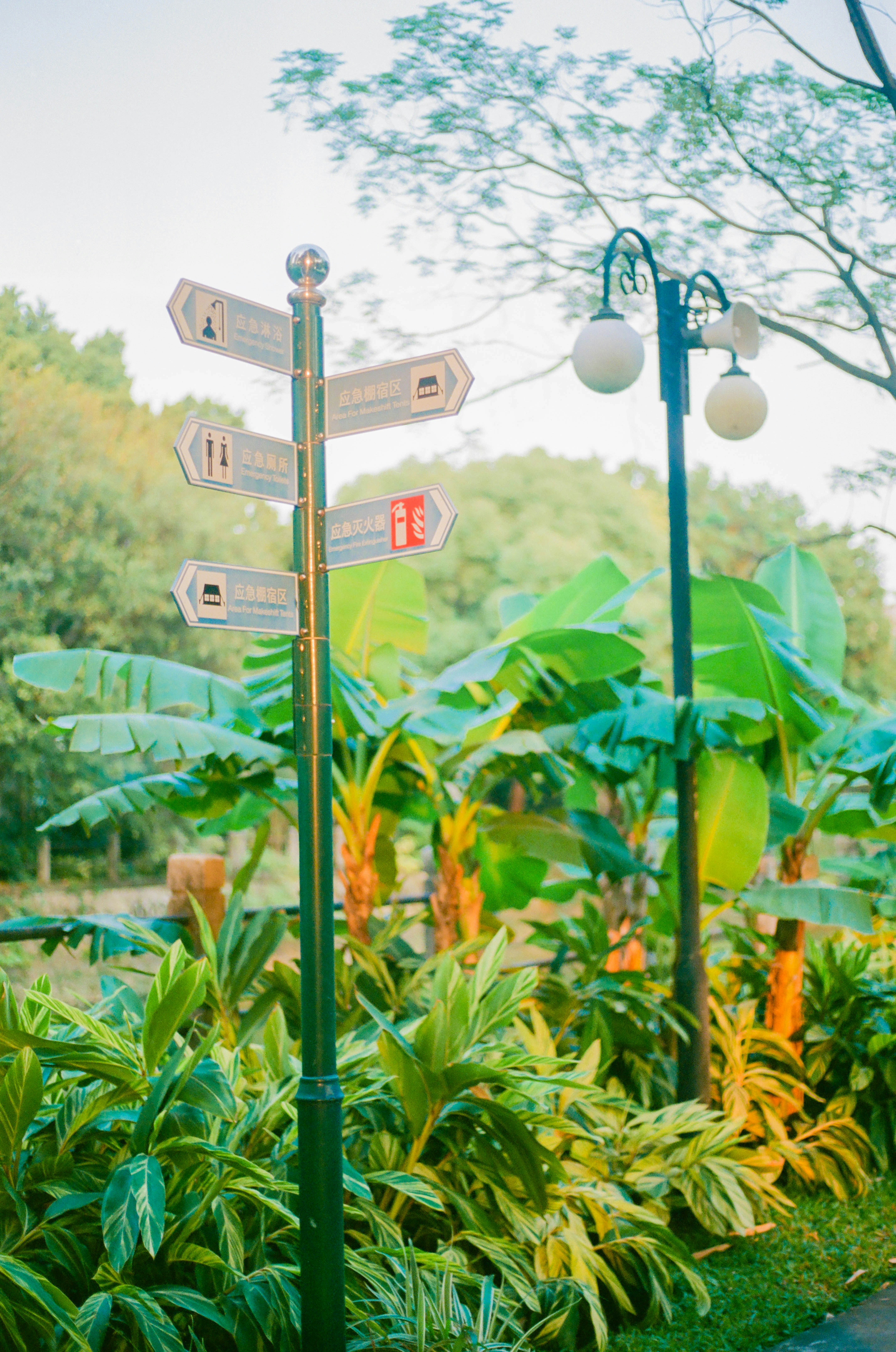 a street sign in front of a lush green park