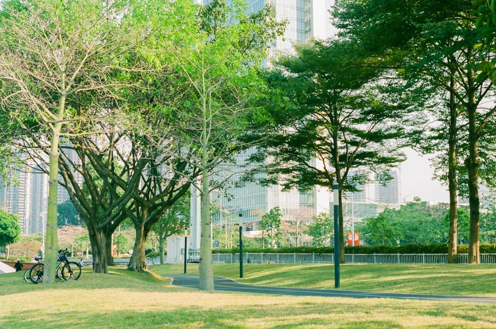 a park with trees, benches, and a bicycle