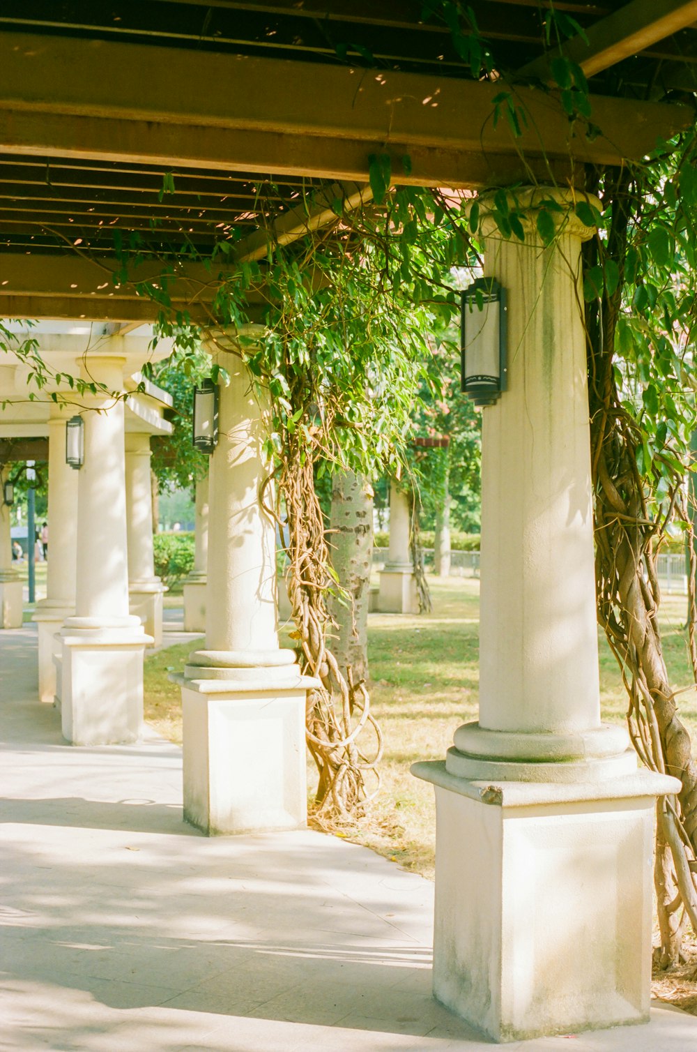 a row of white pillars with a clock on each of them