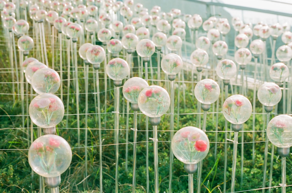 a field full of plastic balls in the grass