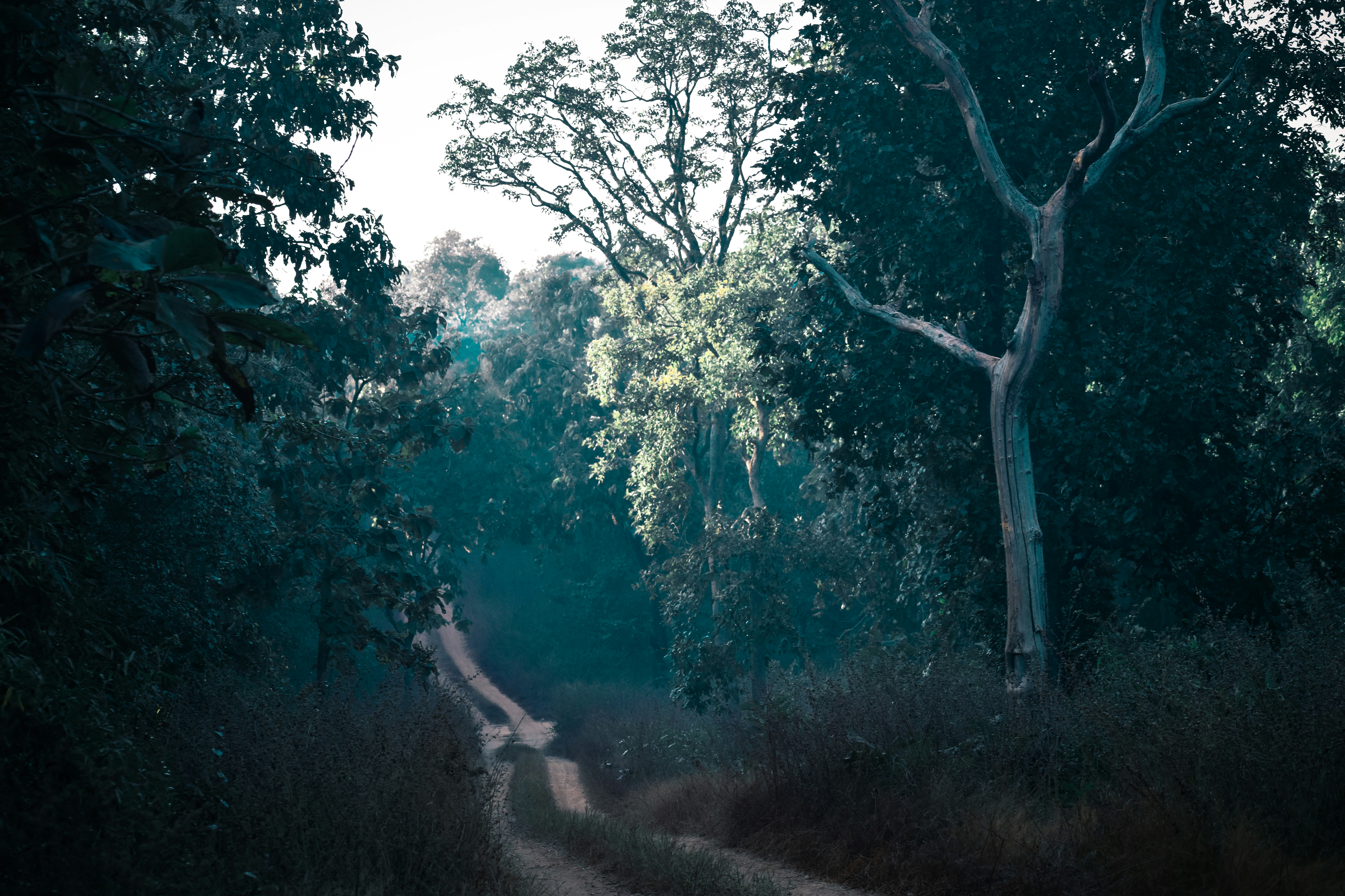 Photo by chirag_1584