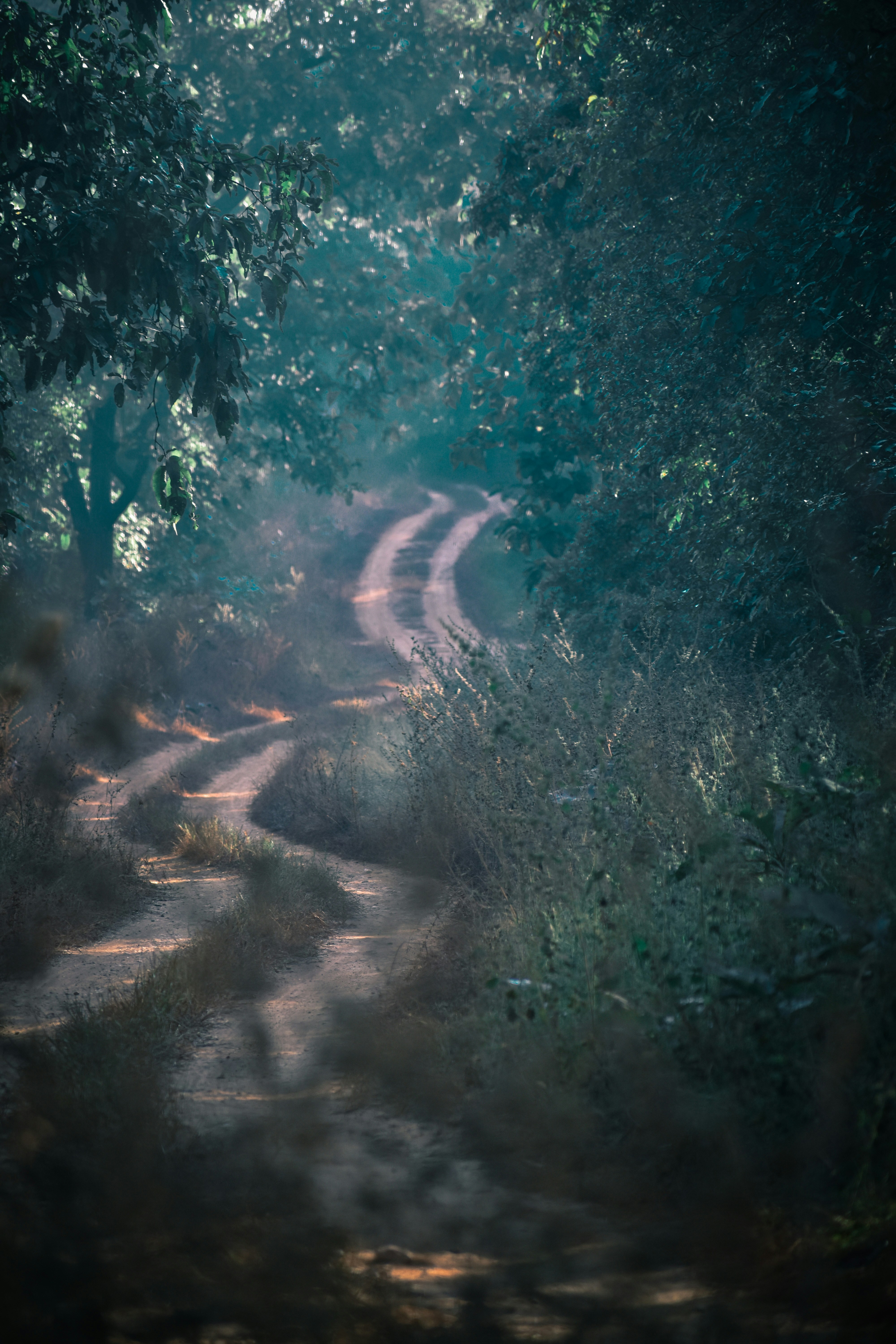 Photo by chirag_1584