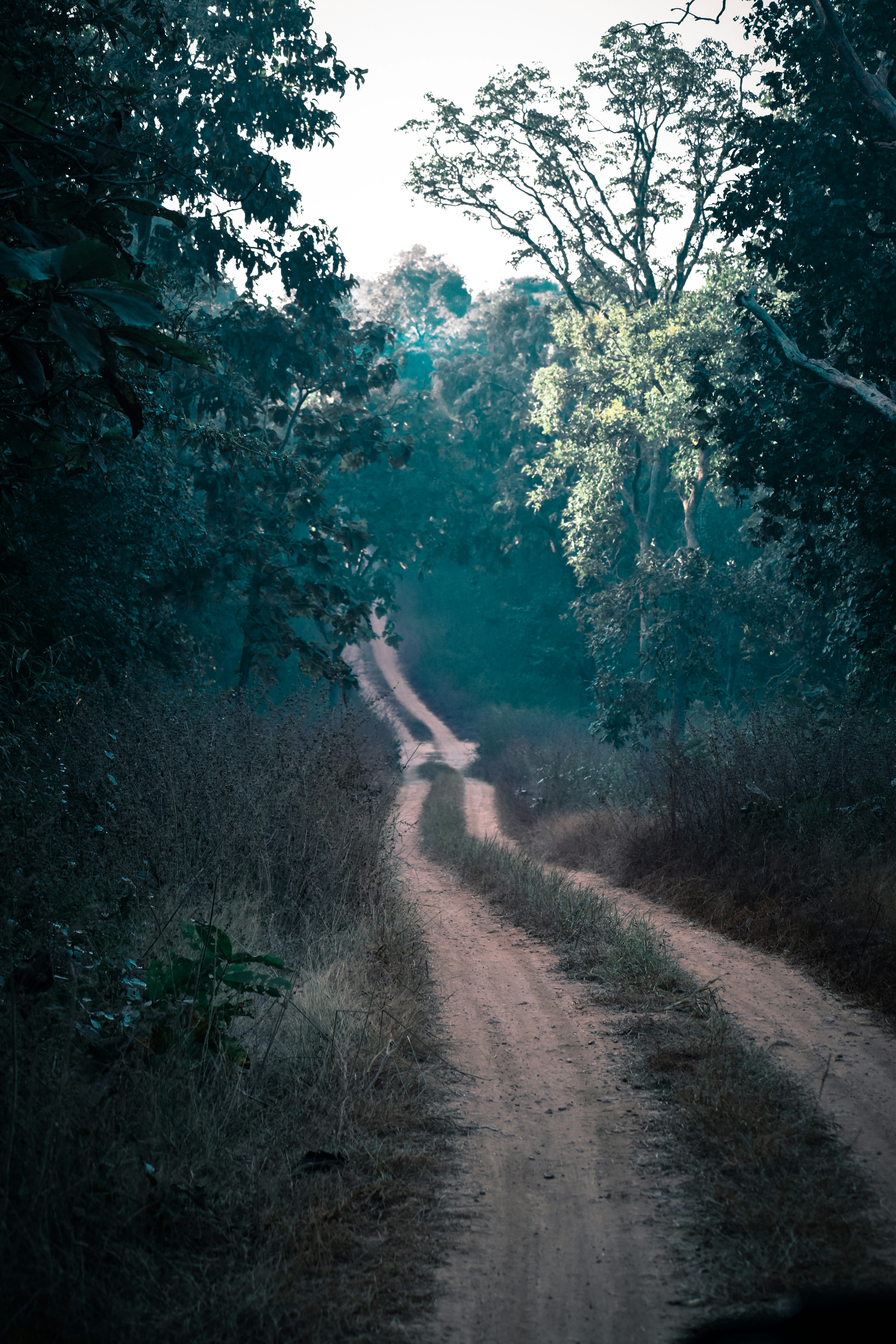 Photo by chirag_1584