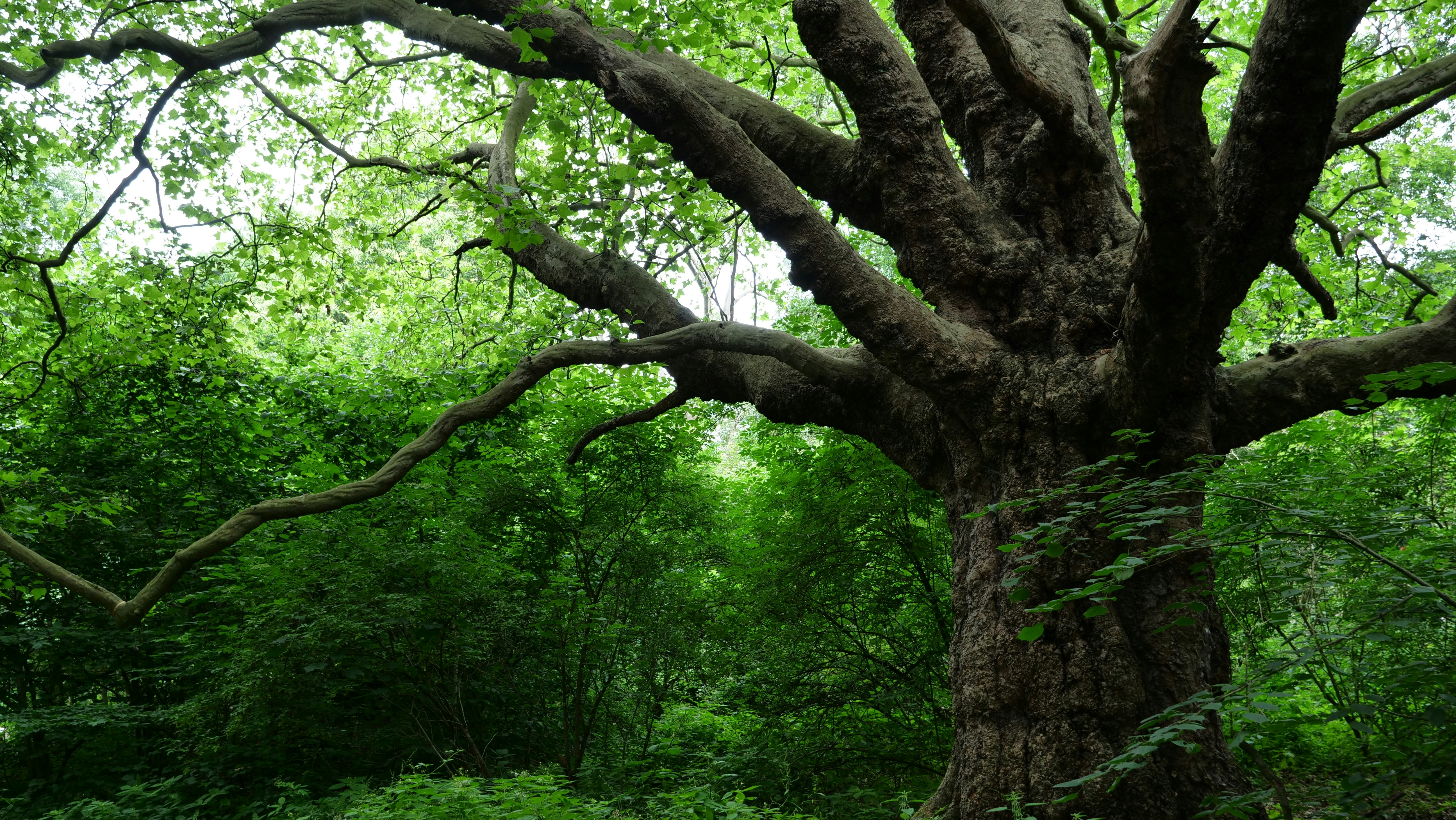 Photo by scottmorter2