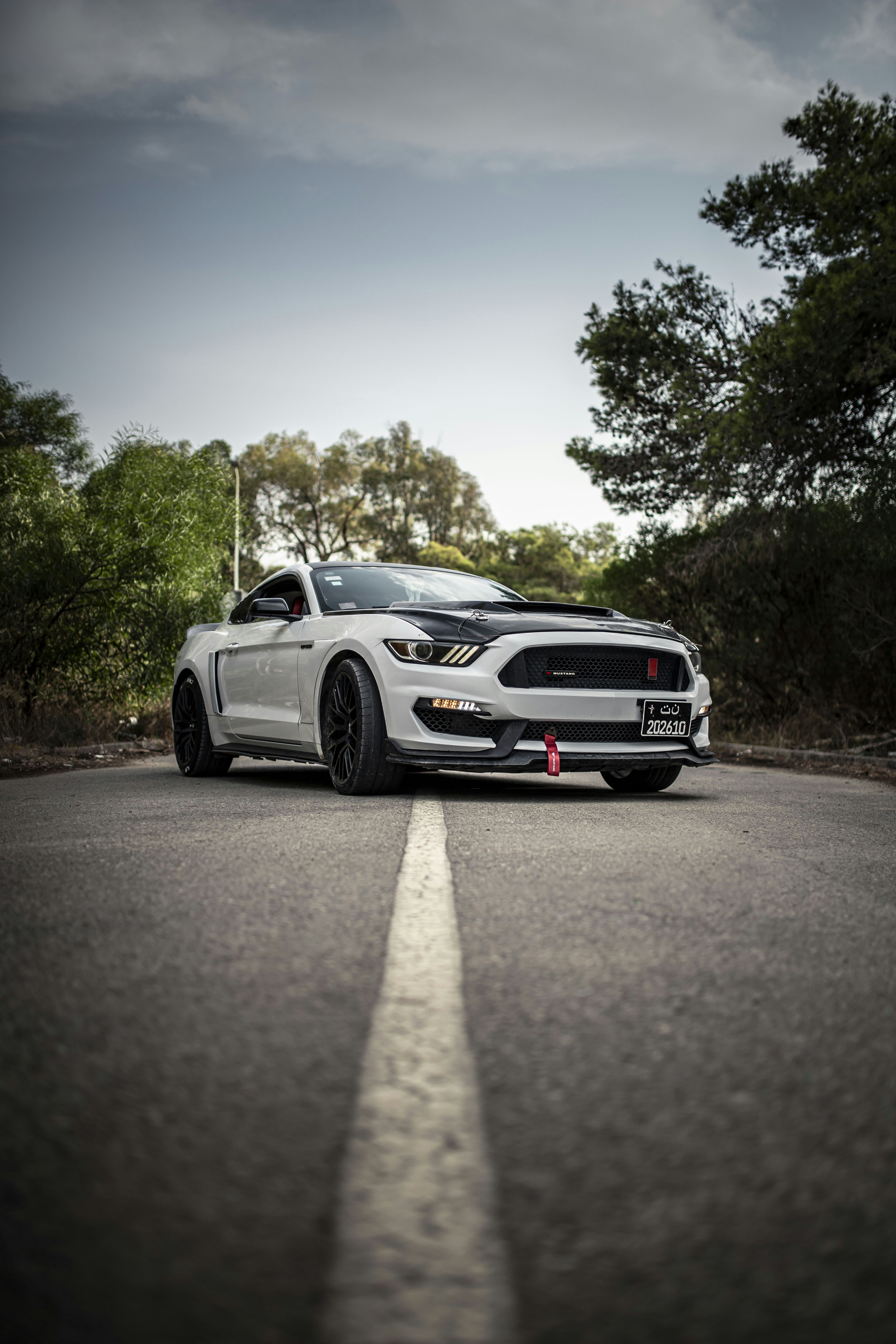 Photo by timou_turner