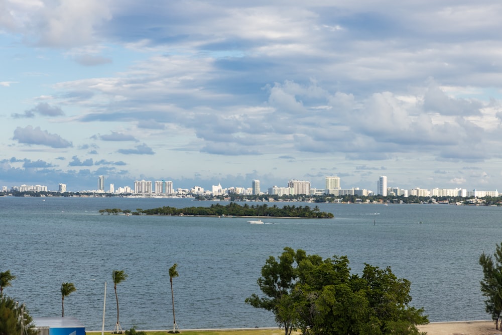 a body of water with a city in the background