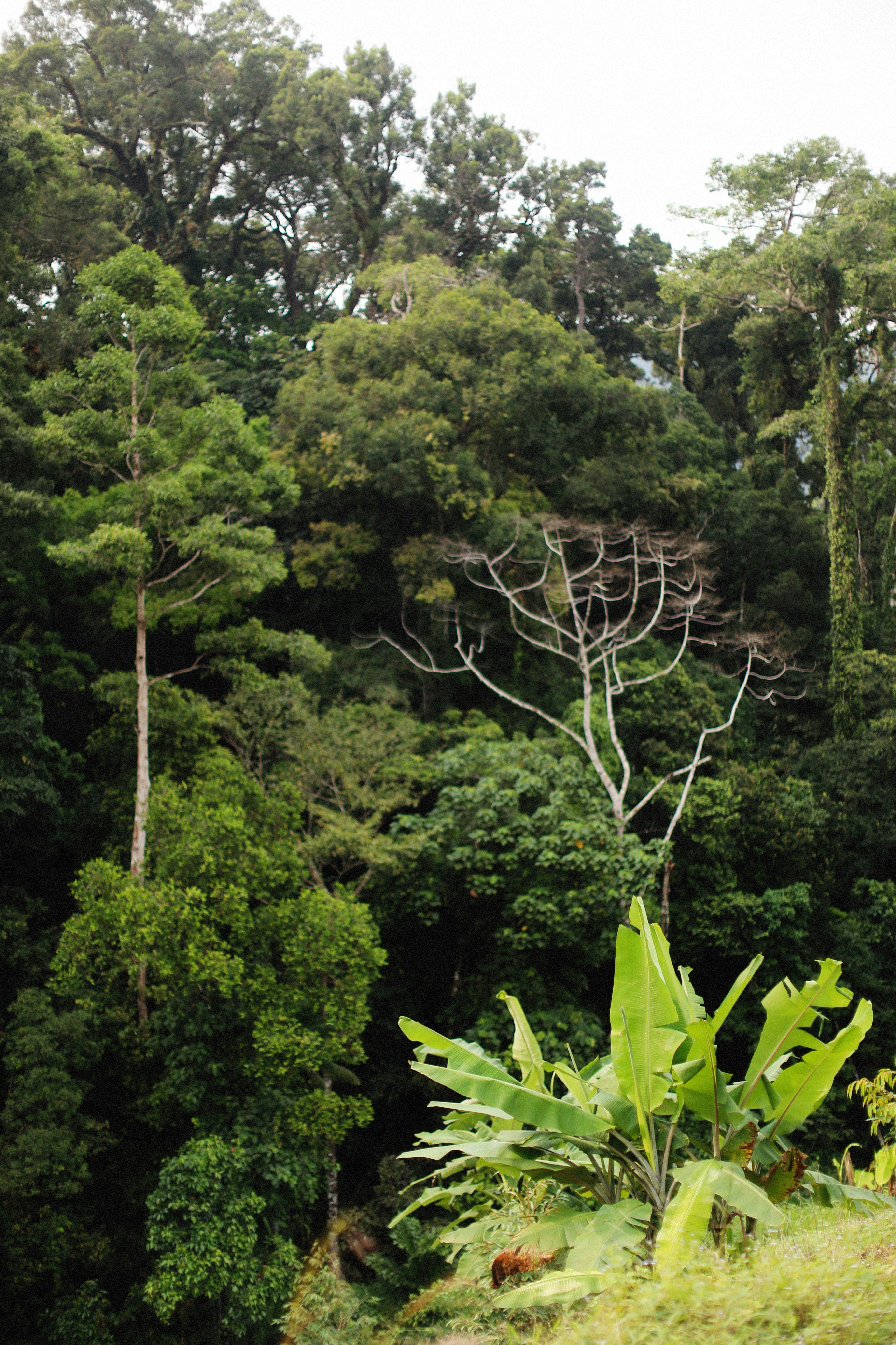 Photo by alexeydemidov