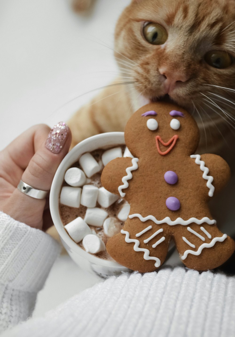 Un gato de jengibre lame una galleta de hombre de pan de jengibre