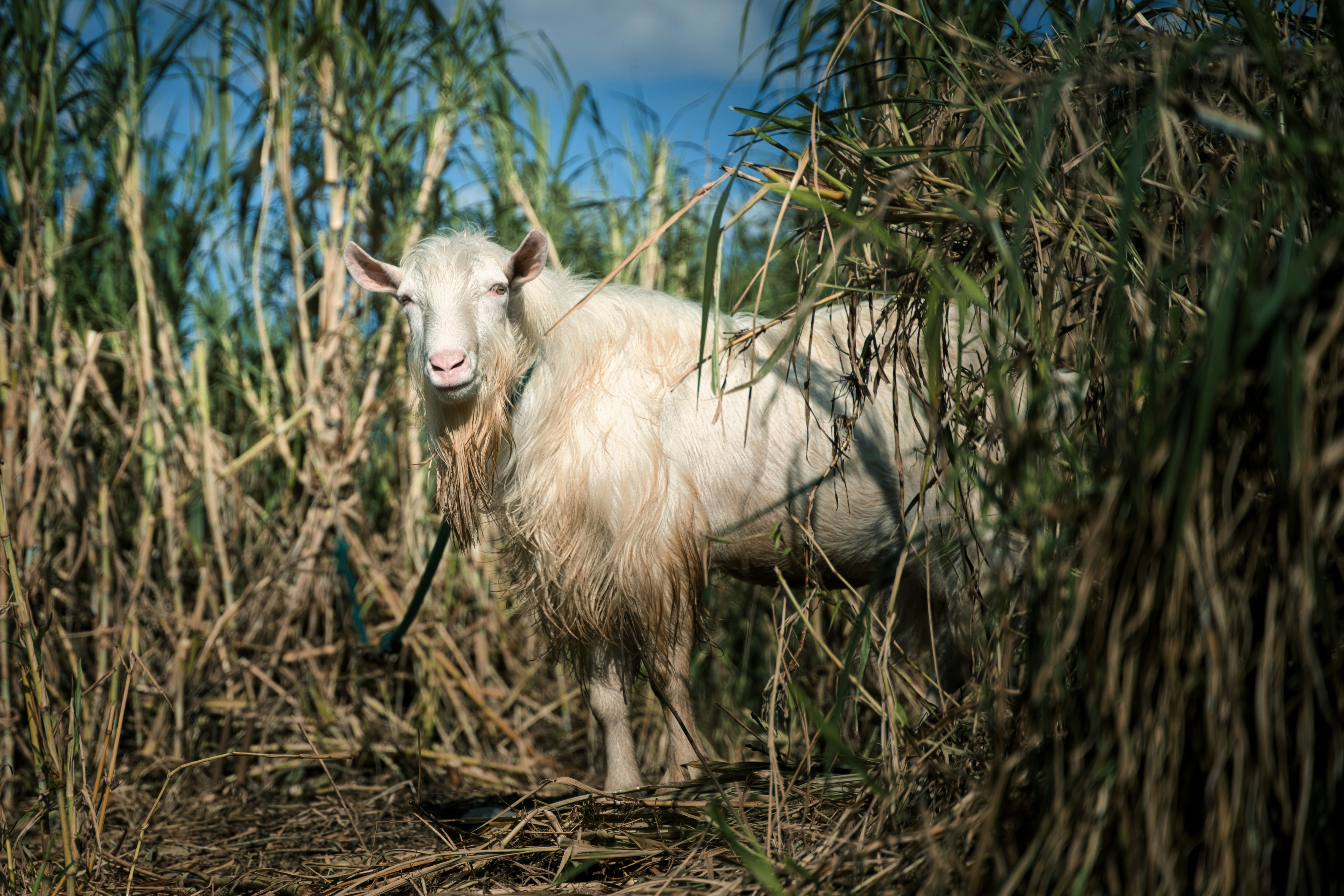 Photo by yoshihiro_jpn