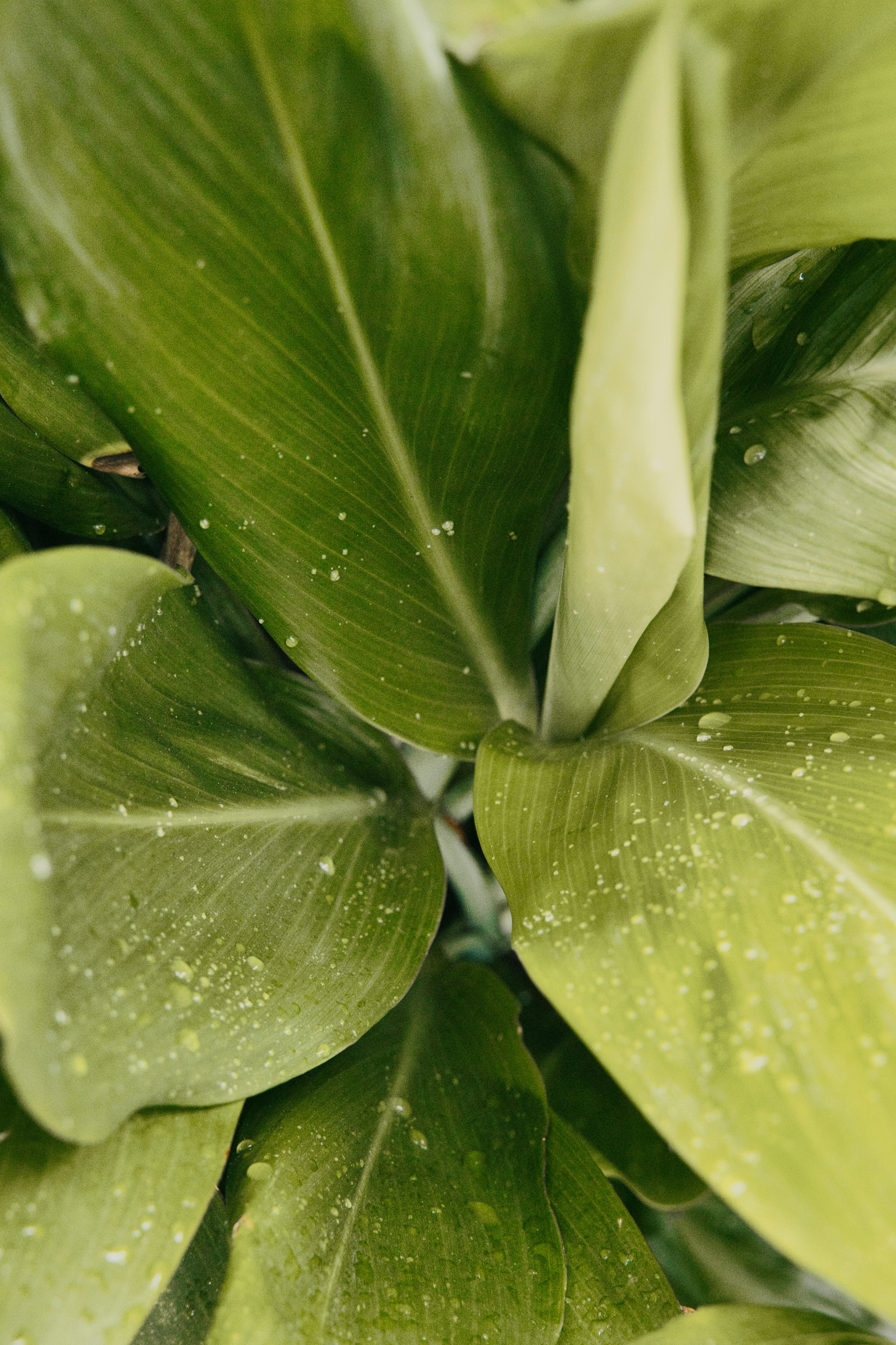 Photo by yoshihiro_jpn