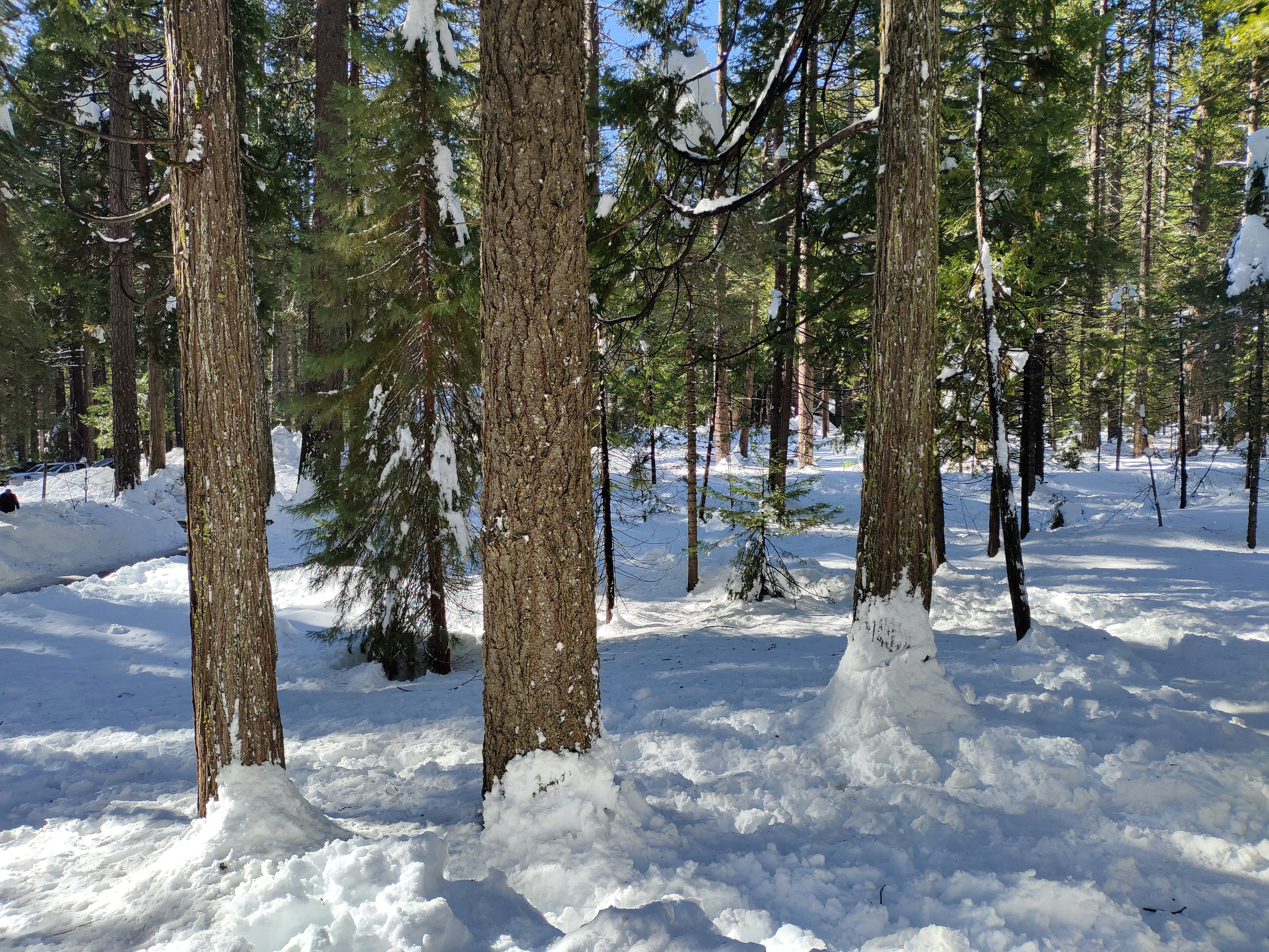 Photo by ludwigvonruhm