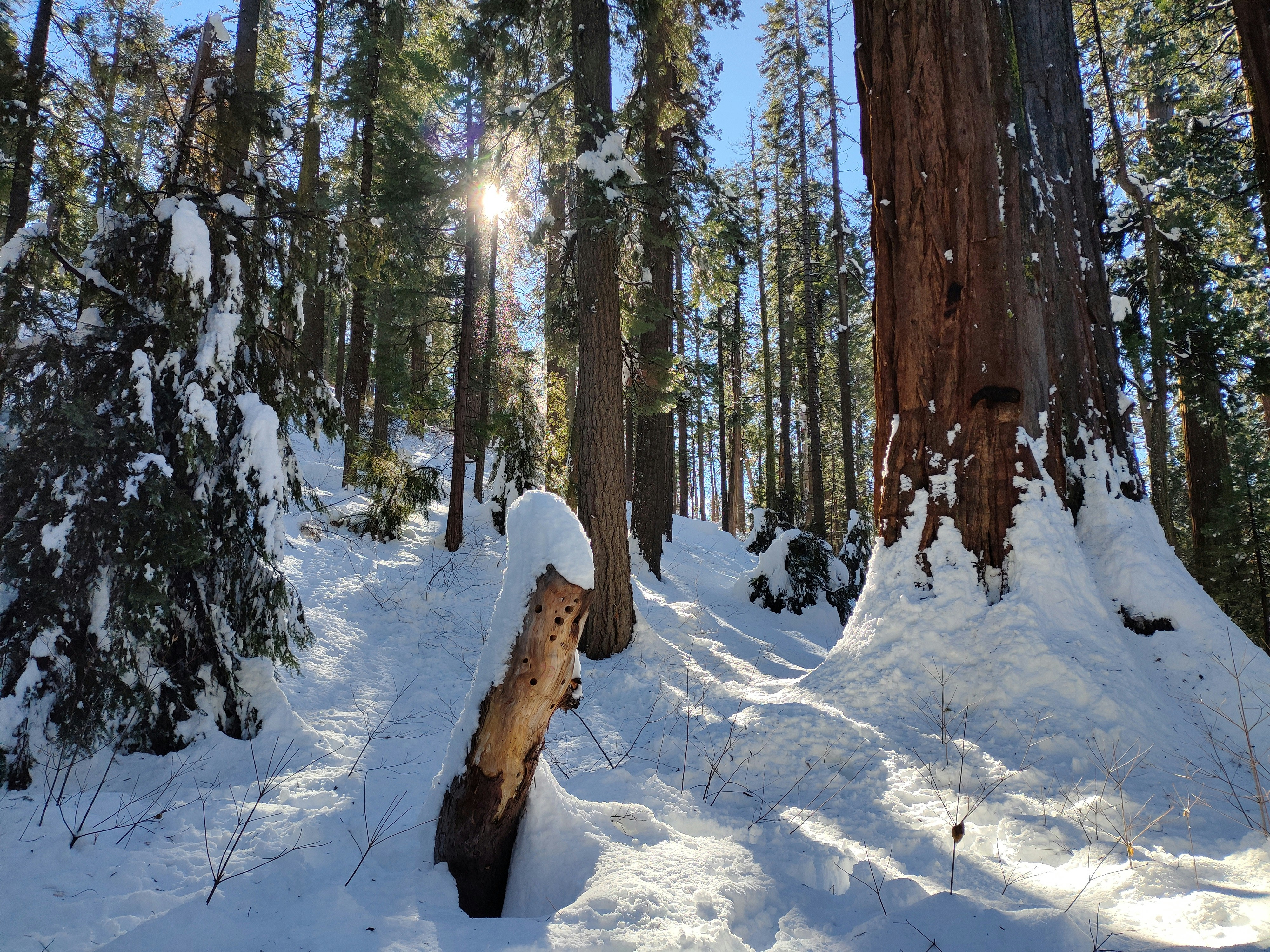 Photo by ludwigvonruhm