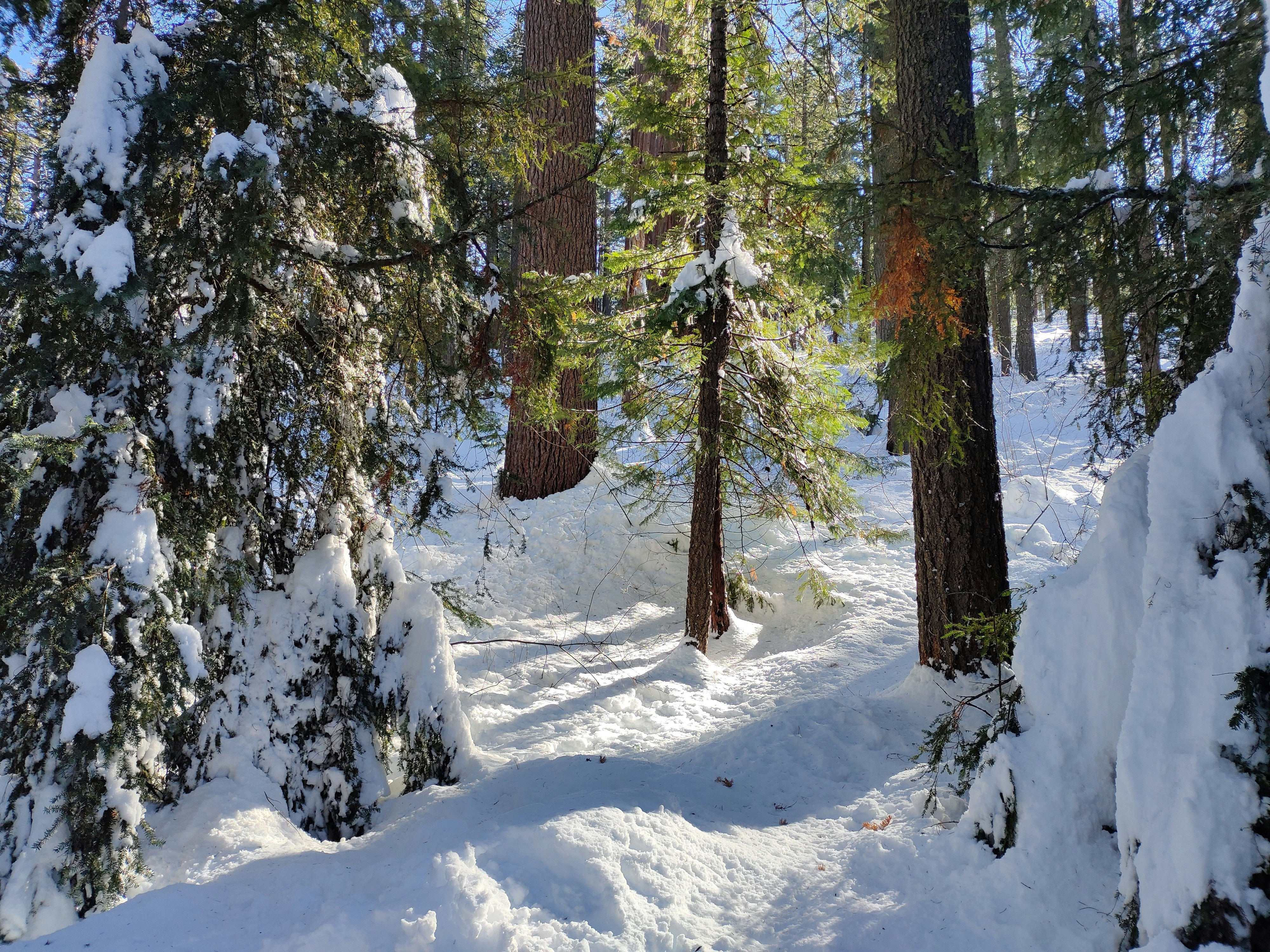 Photo by ludwigvonruhm