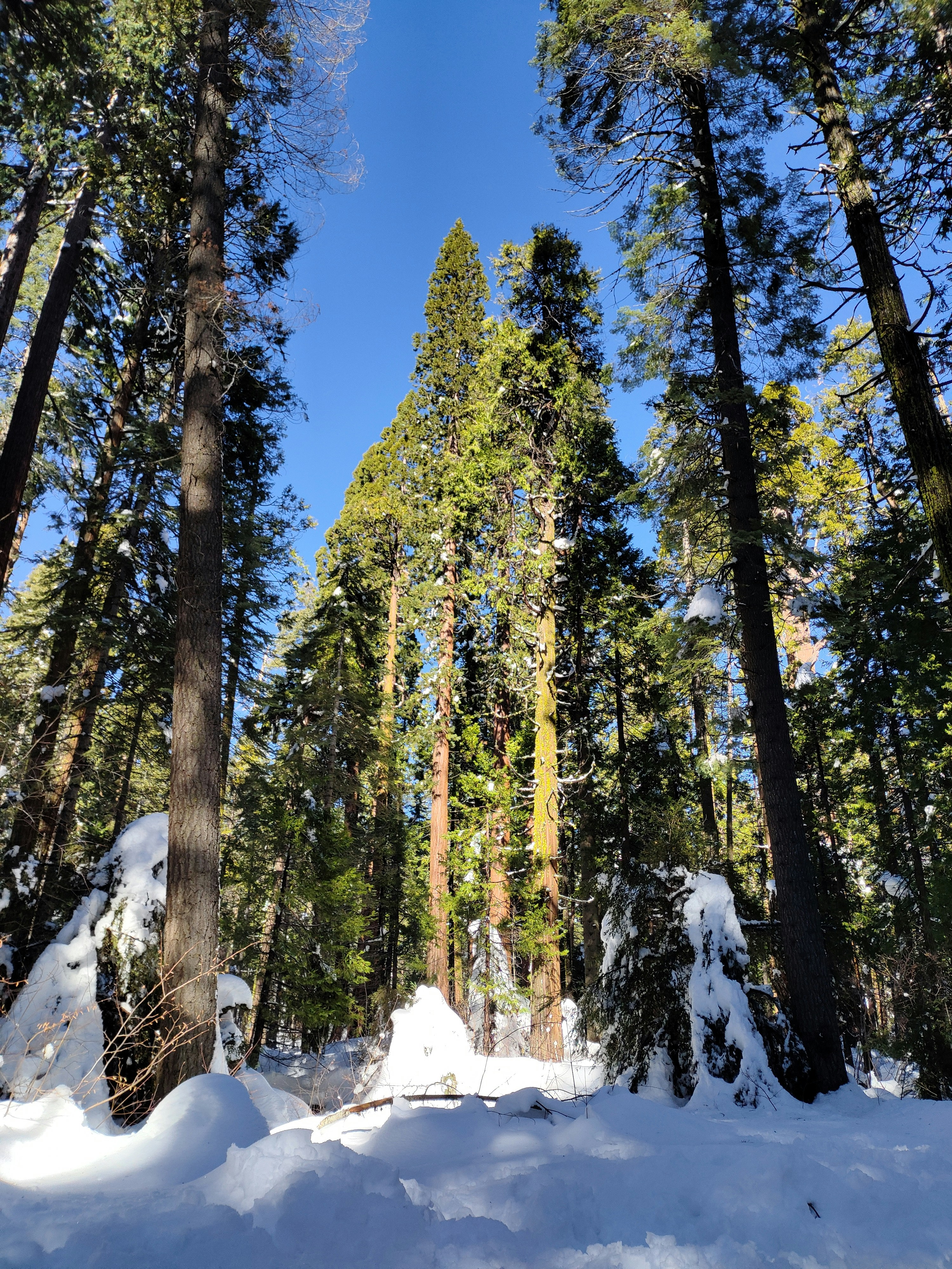 Photo by ludwigvonruhm