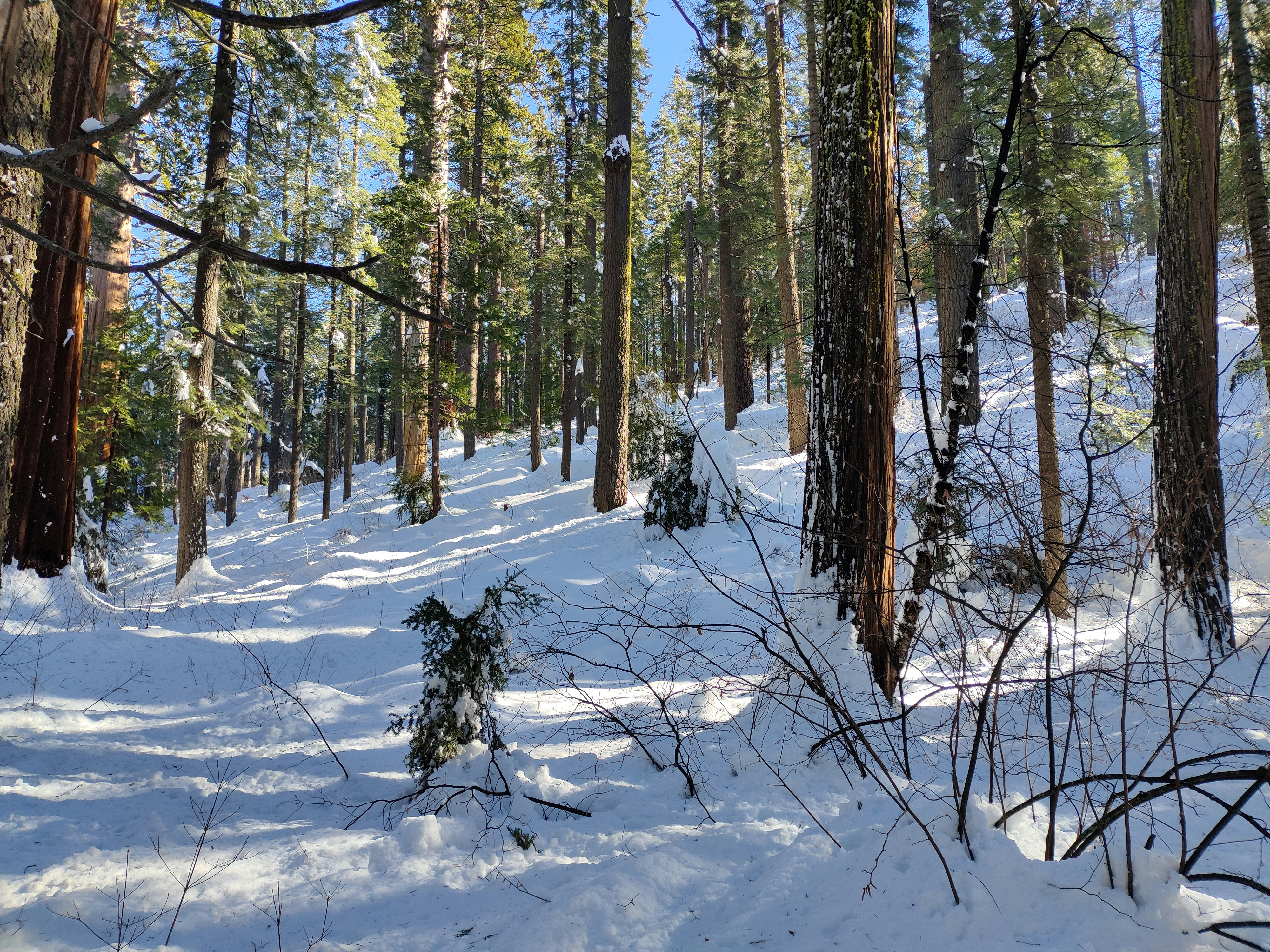 Photo by ludwigvonruhm