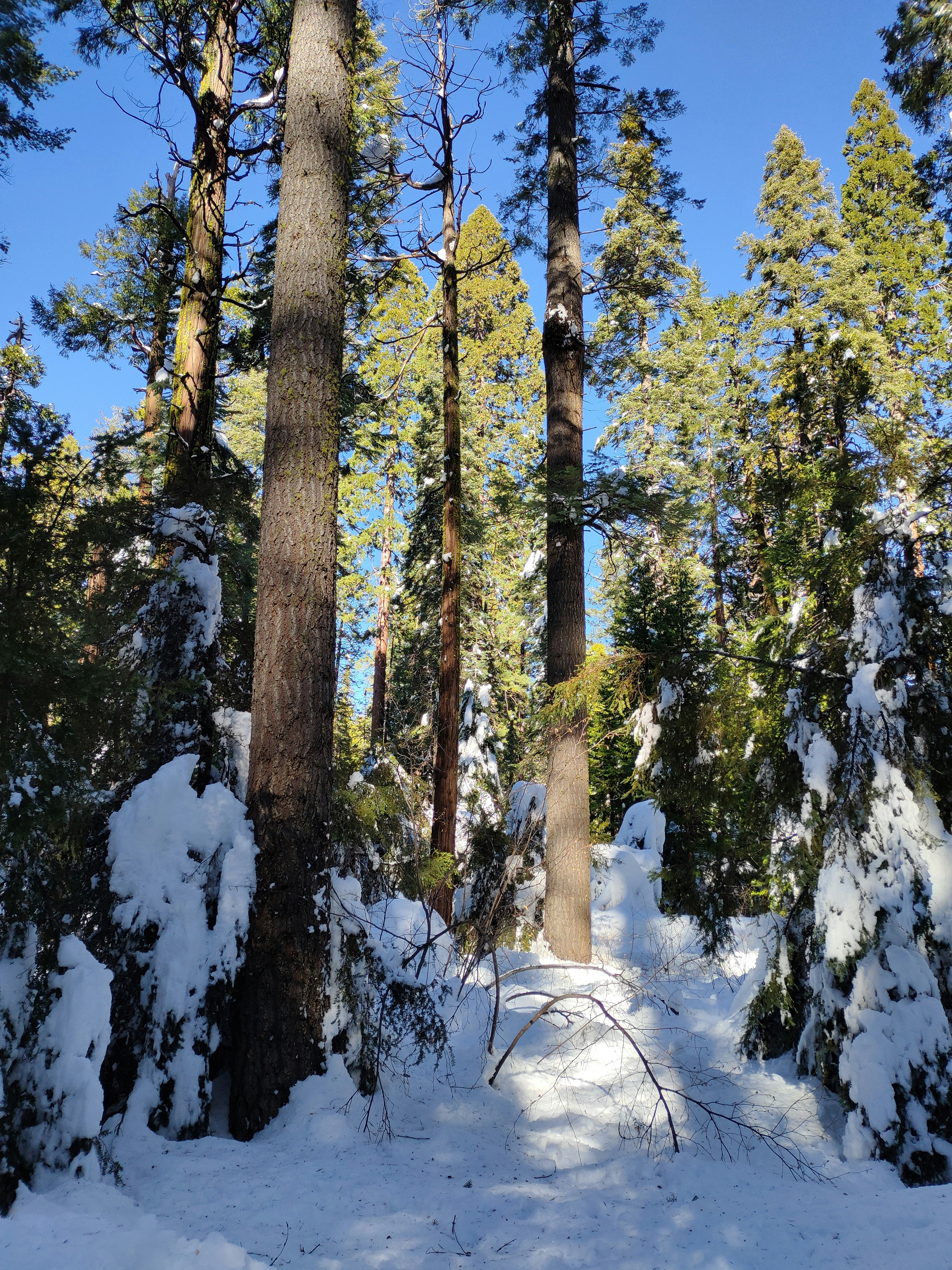 Photo by ludwigvonruhm