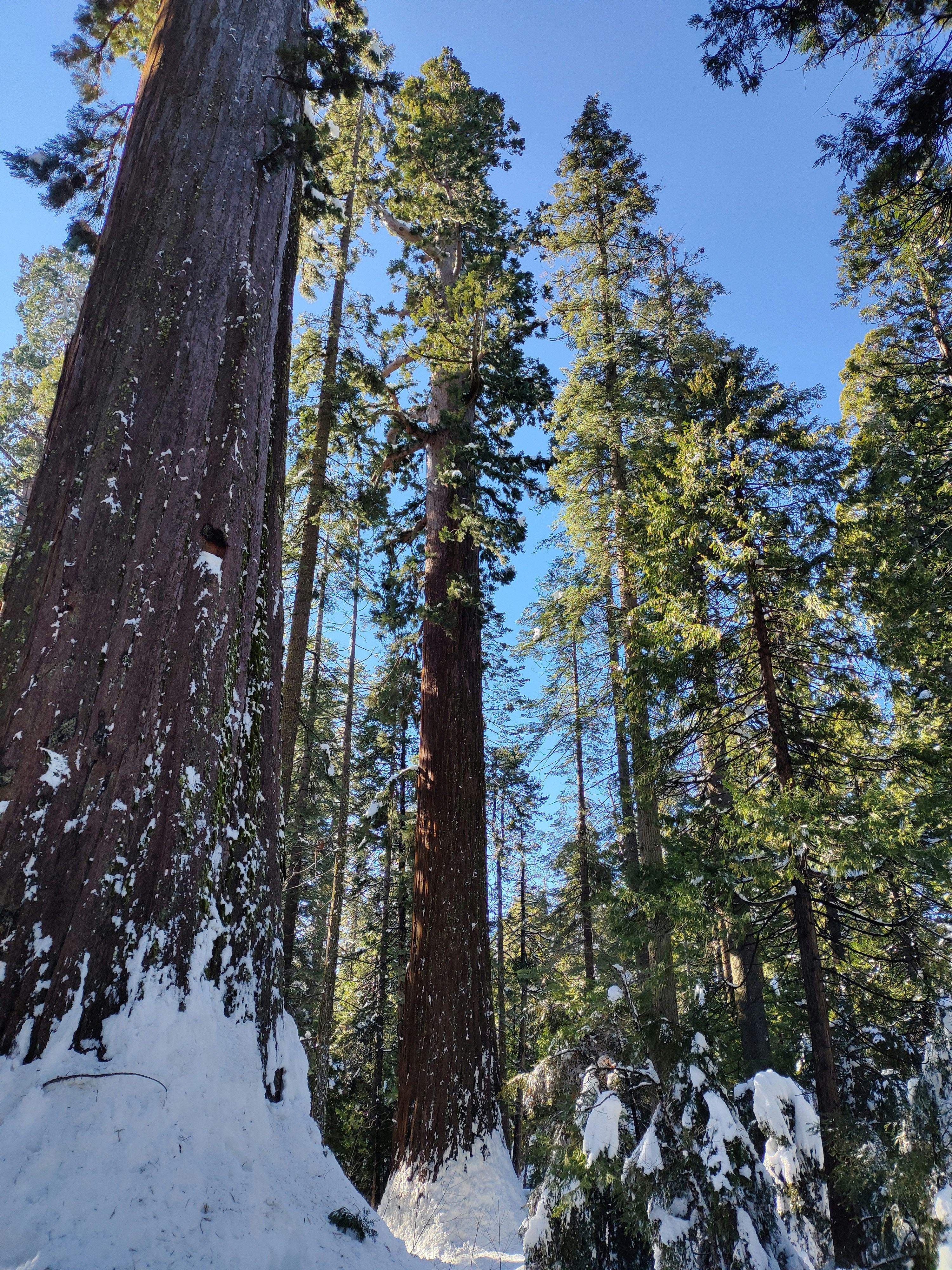 Photo by ludwigvonruhm